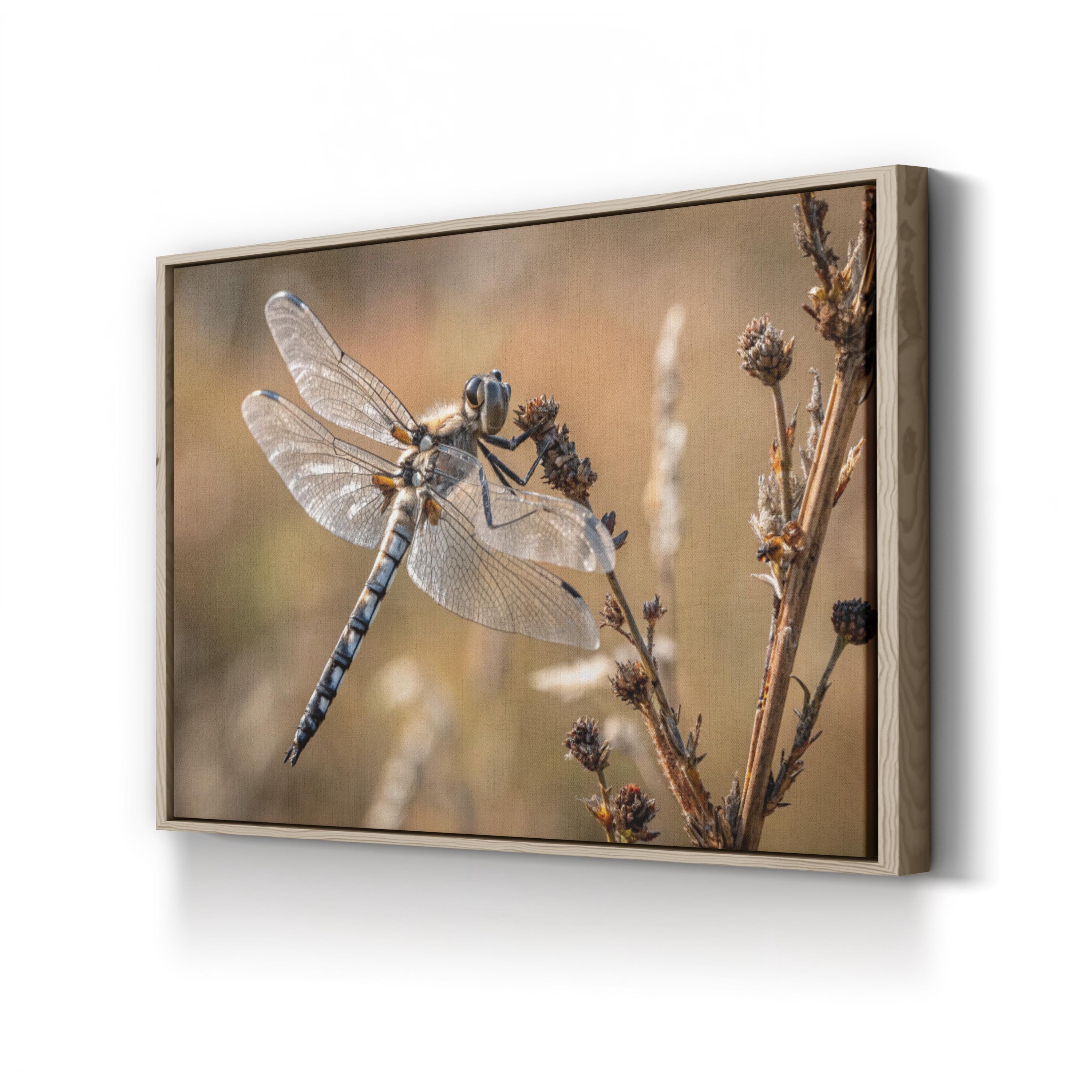 Dragonfly on Branch Wall Art — Naturalist Wildlife Photography Canvas Print