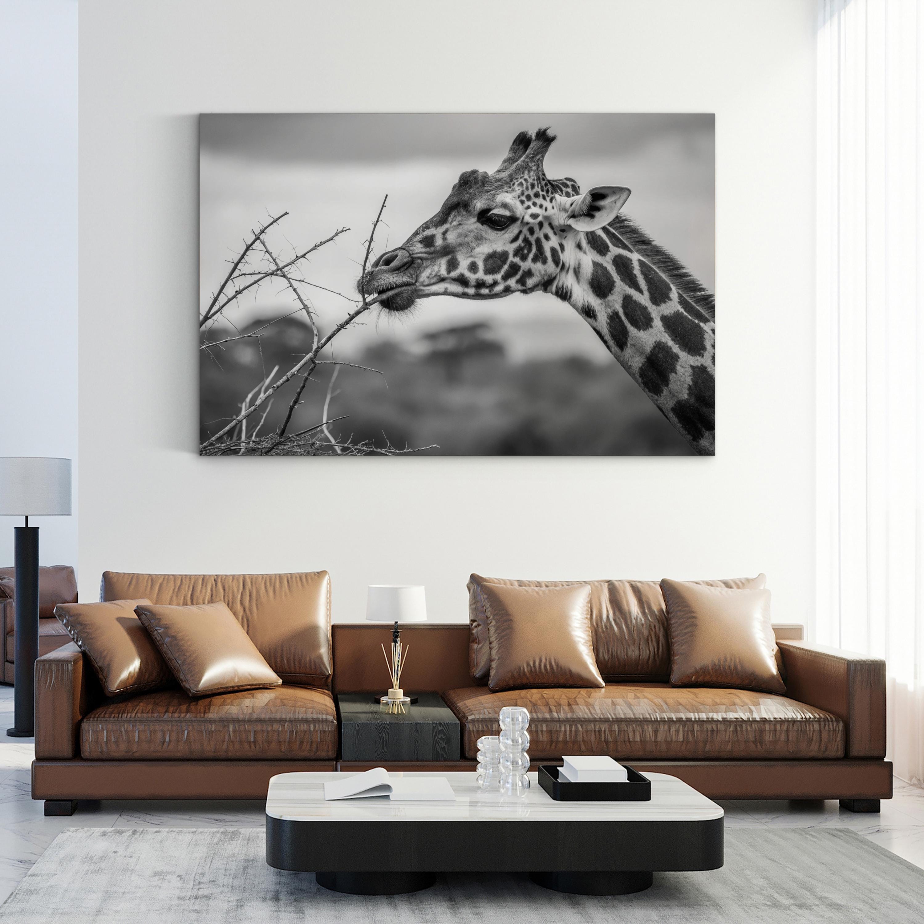 Black & White Giraffe – Period Illustration Wall Art | Wildlife Canvas Print