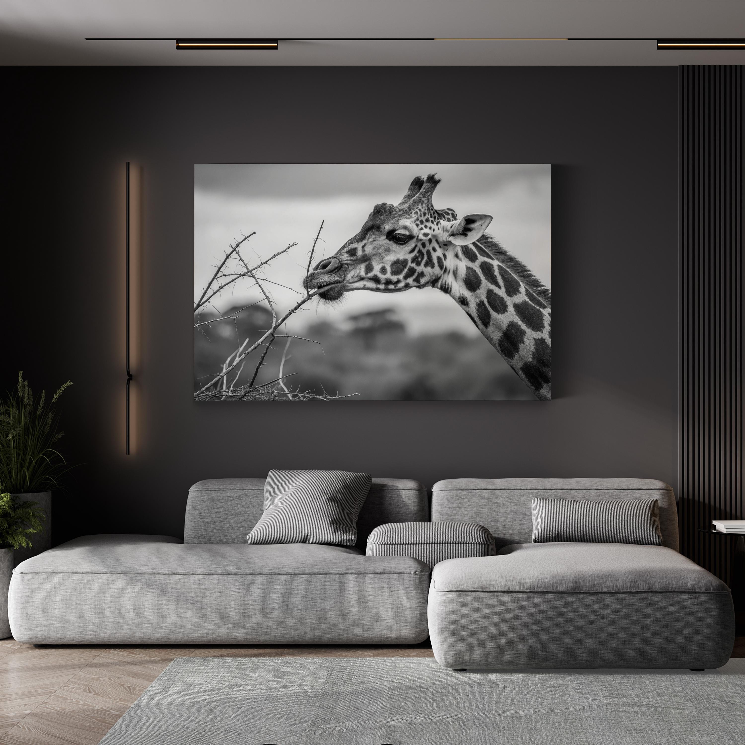 Black & White Giraffe – Period Illustration Wall Art | Wildlife Canvas Print