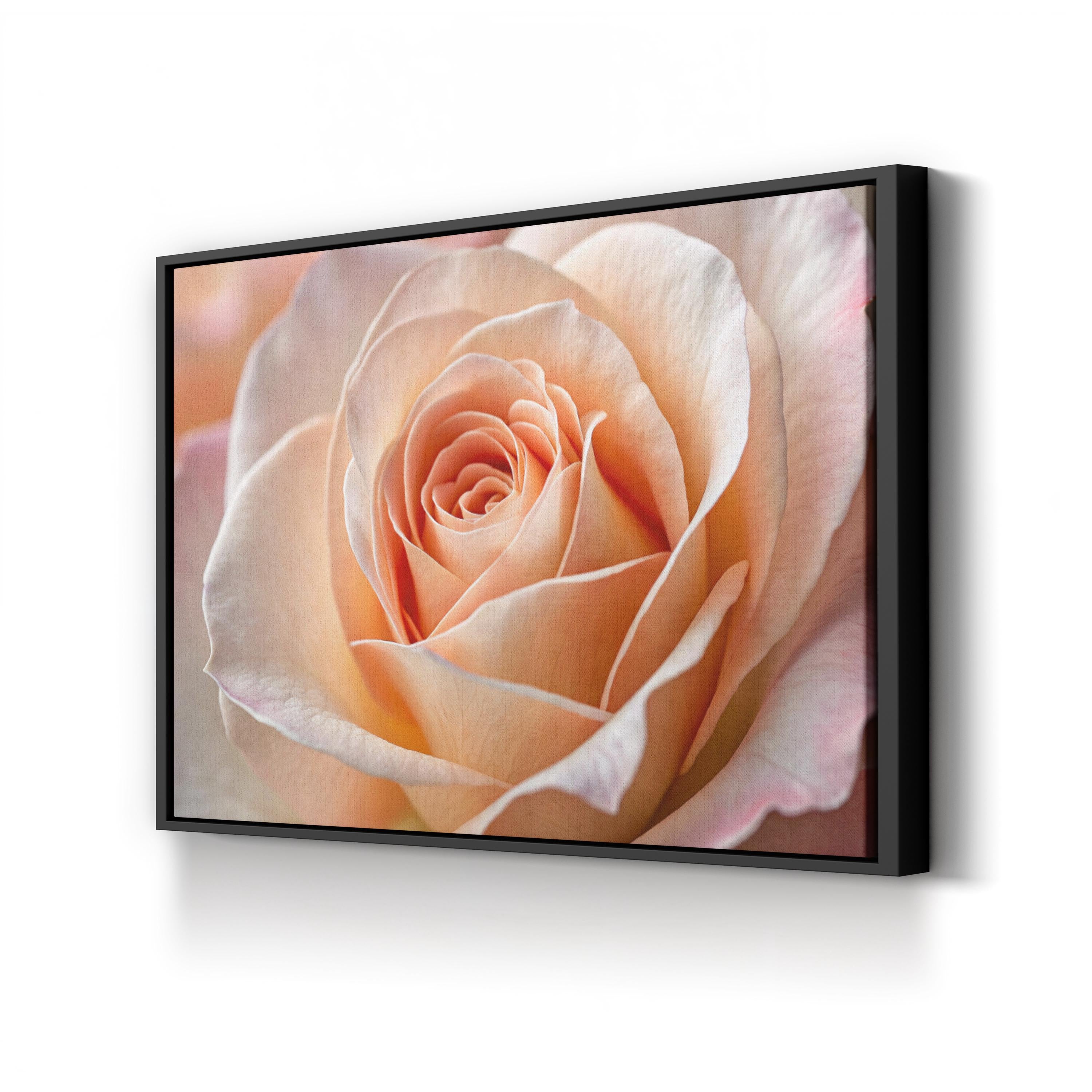 Peach Rose – Vintage Photography Wall Art | Elegant Floral Canvas Print