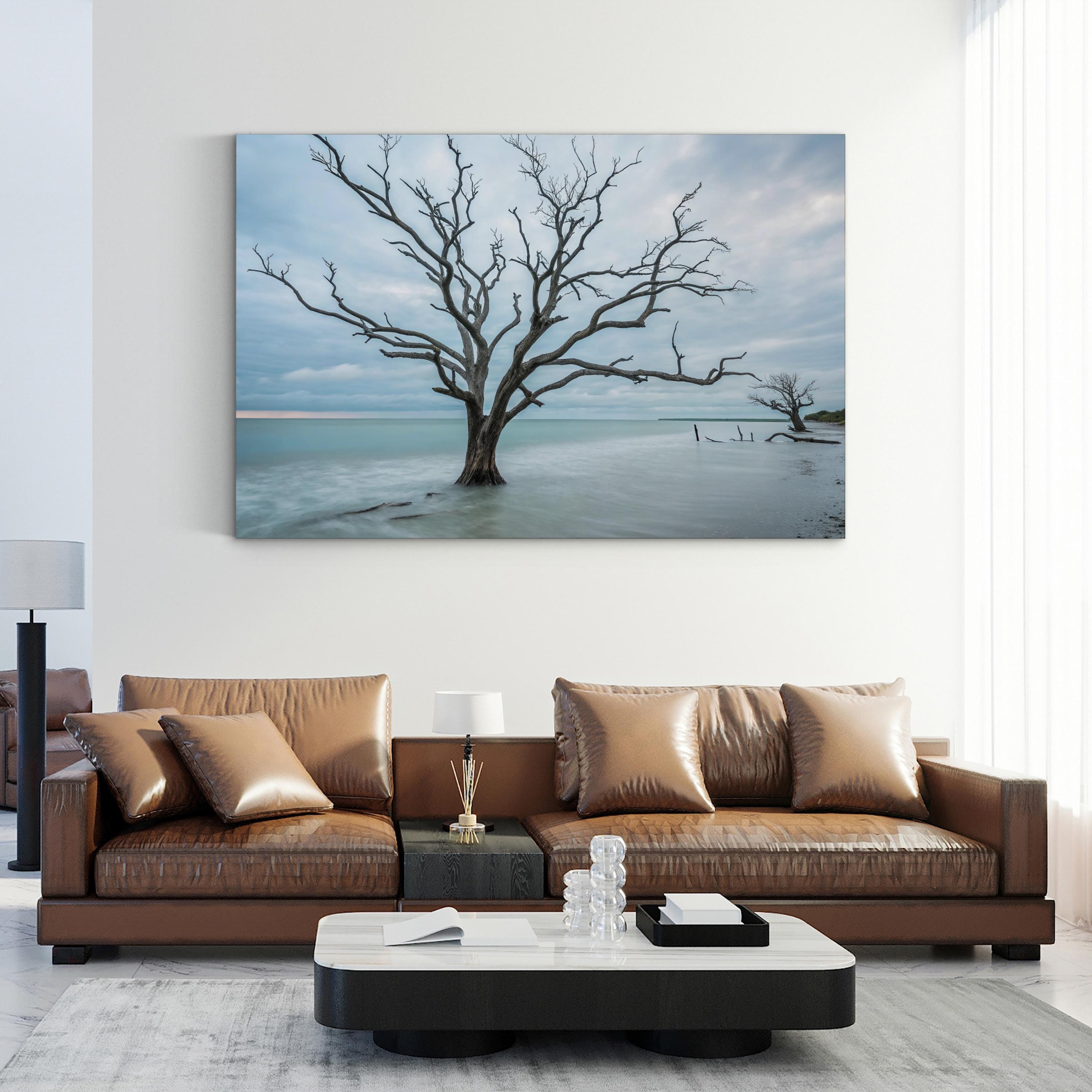 Botany Bay Coastal Sunset — Tranquil Shoreline Canvas Wall Art