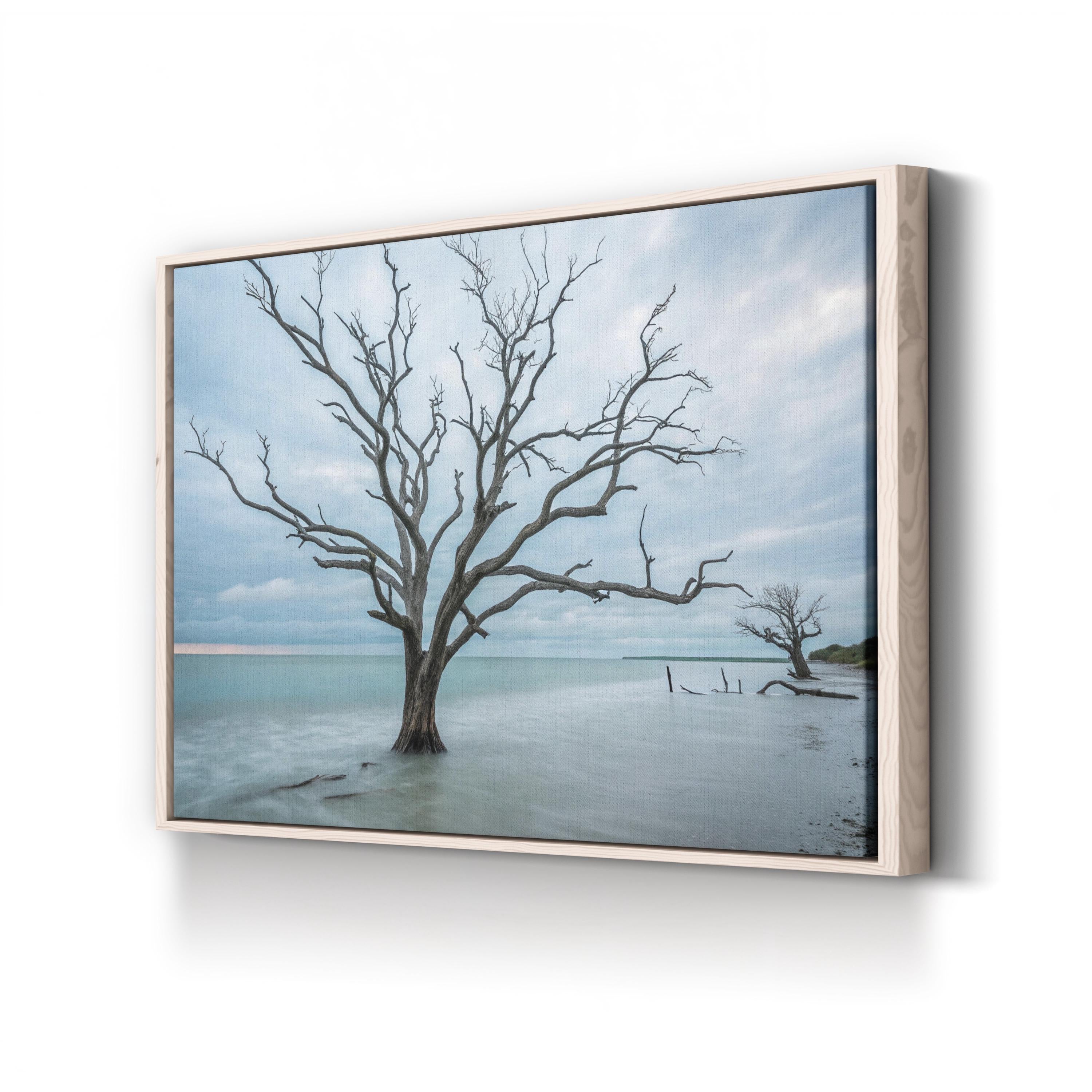 Botany Bay Coastal Sunset — Tranquil Shoreline Canvas Wall Art