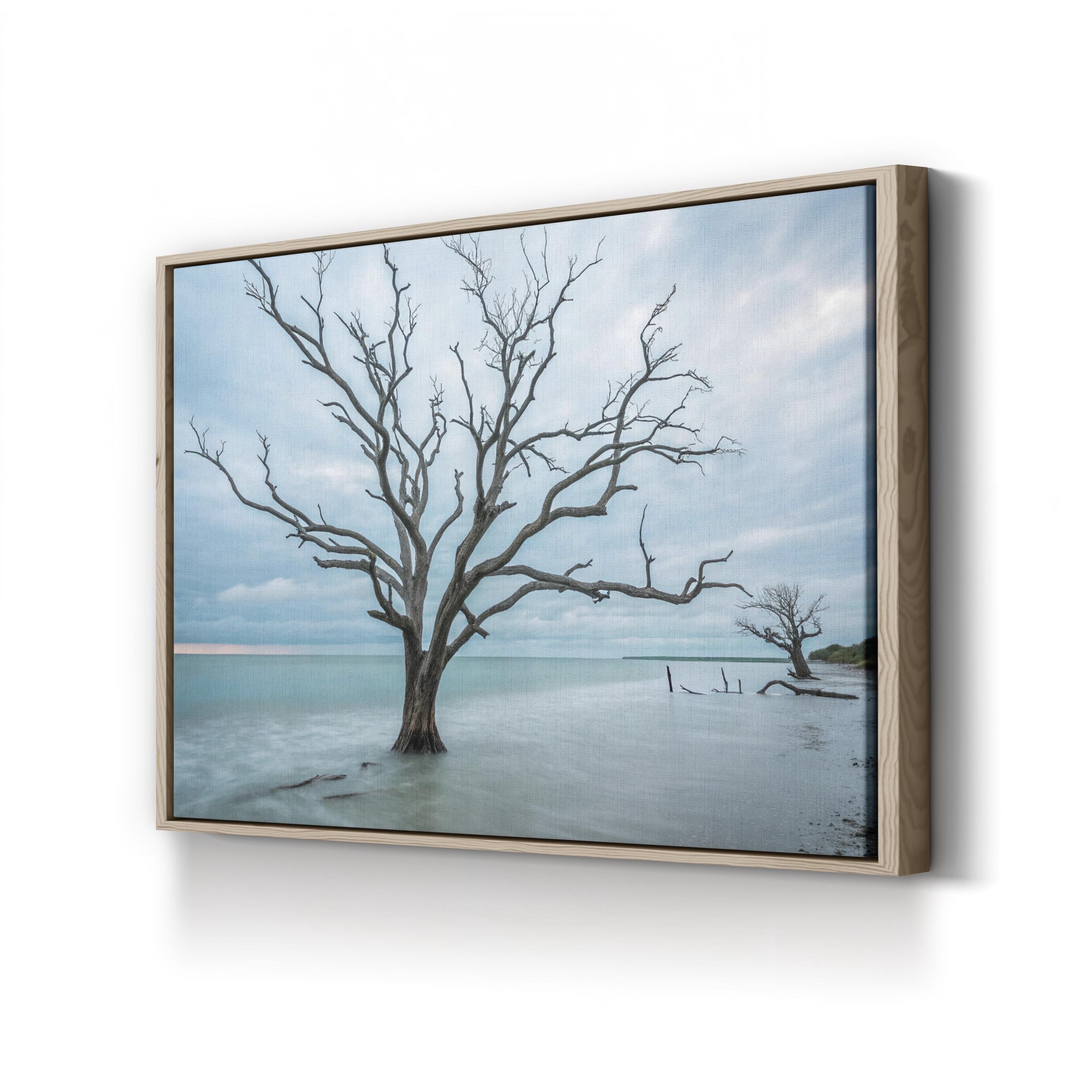 Botany Bay Coastal Sunset — Tranquil Shoreline Canvas Wall Art