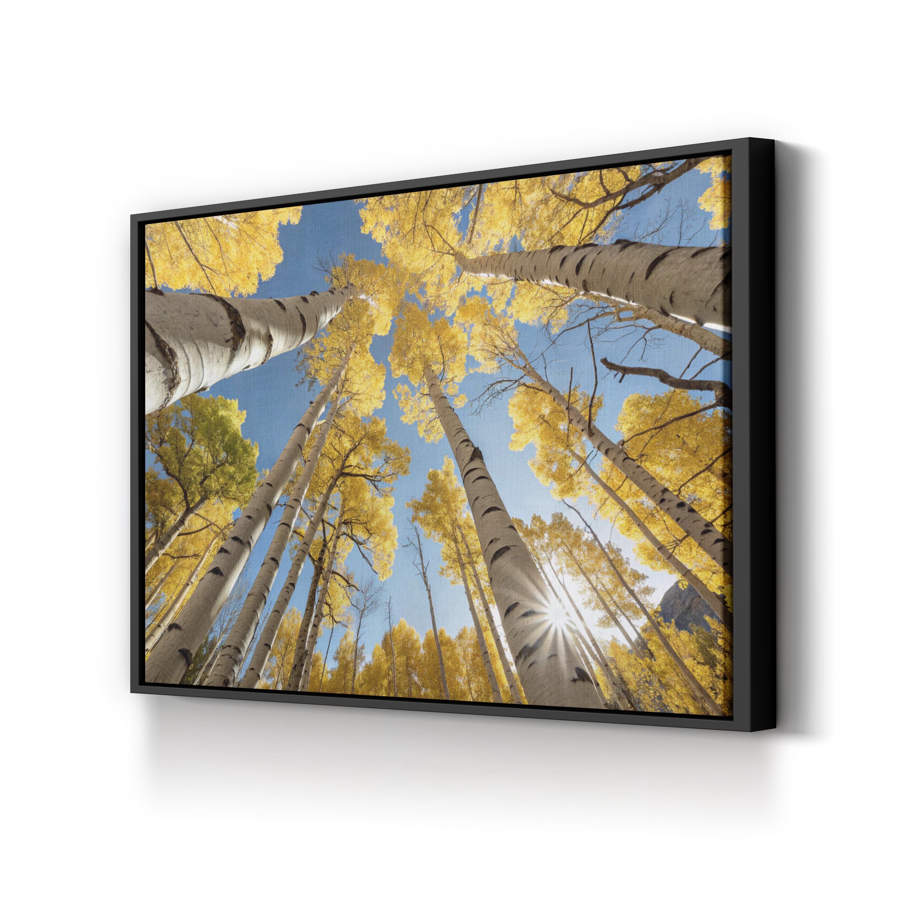 San Juan Aspens Fall – Vintage Photography Wall Art | Autumn Forest Canvas Print