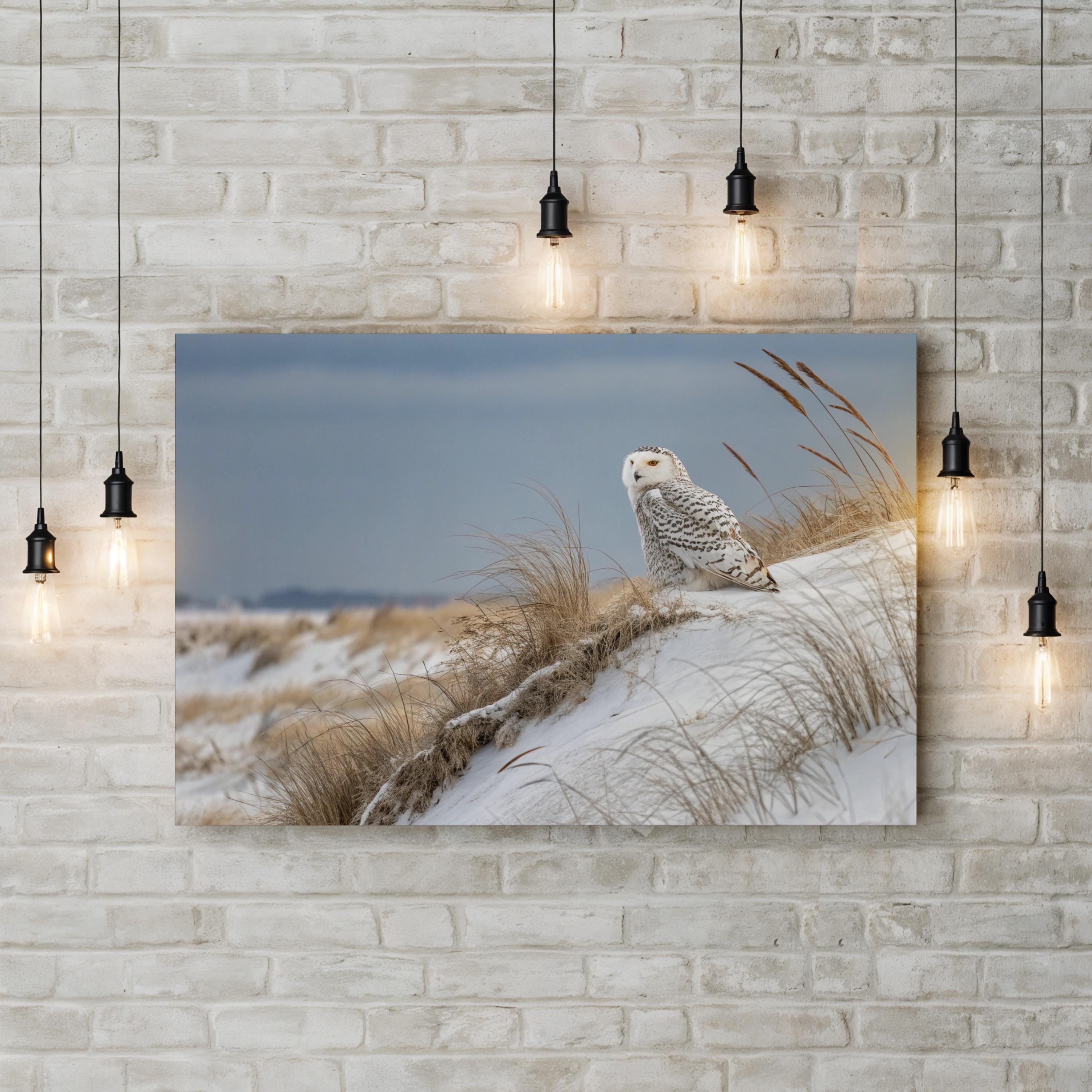 Snowy Owl Canvas – Framed Winter Wildlife Wall Art