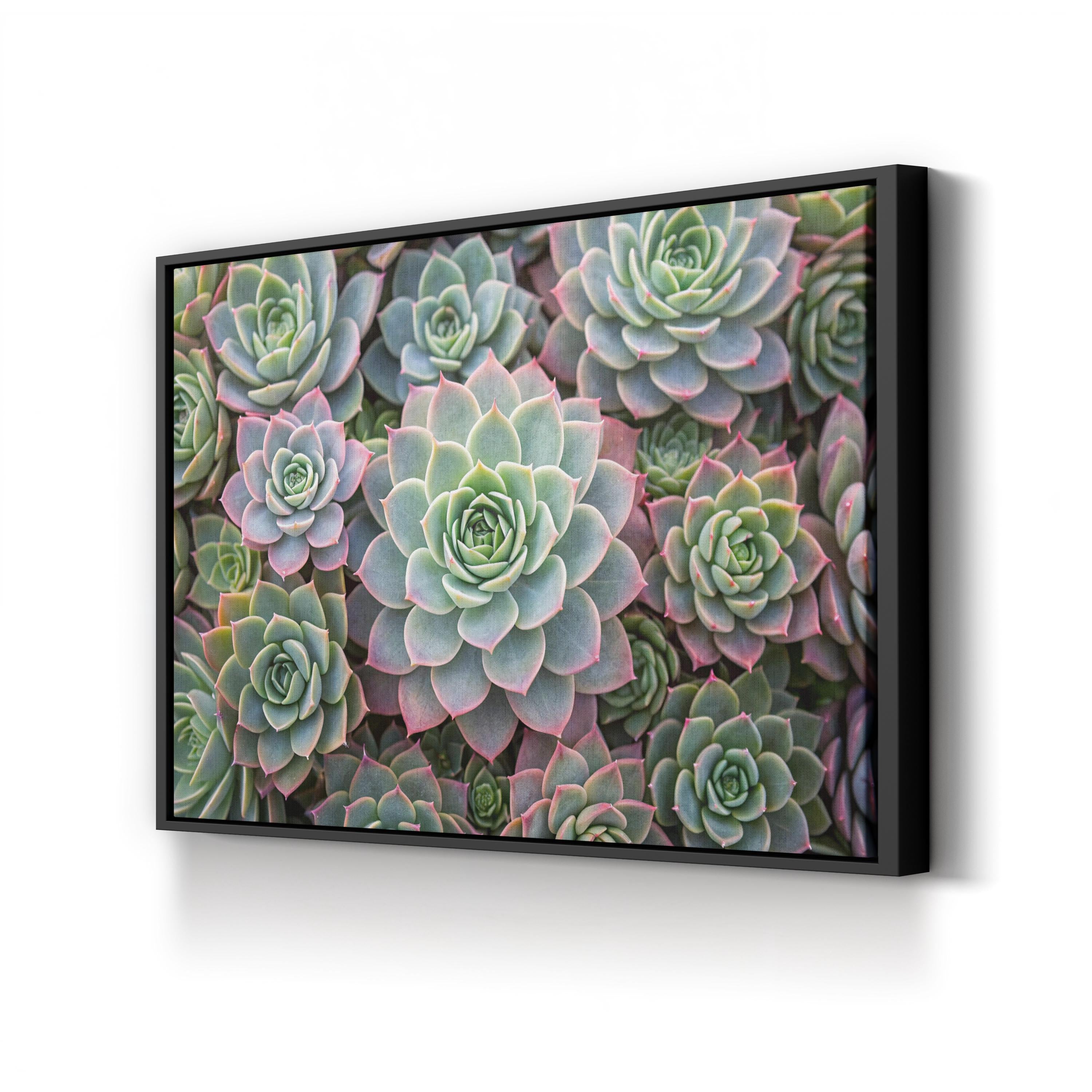 Succulent Garden – Vintage Photography Wall Art | Soft Green Botanical Canvas Print