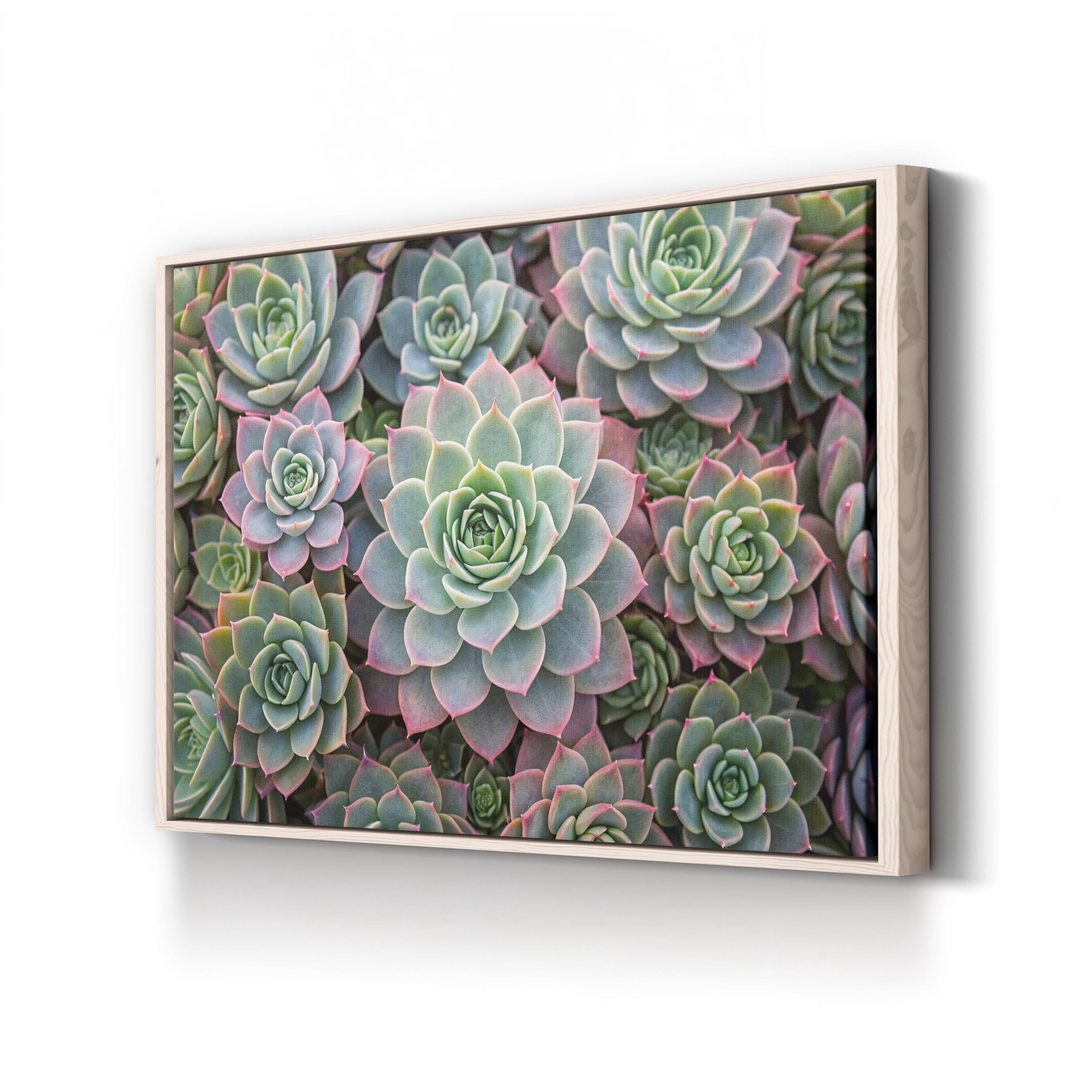 Succulent Garden – Vintage Photography Wall Art | Soft Green Botanical Canvas Print