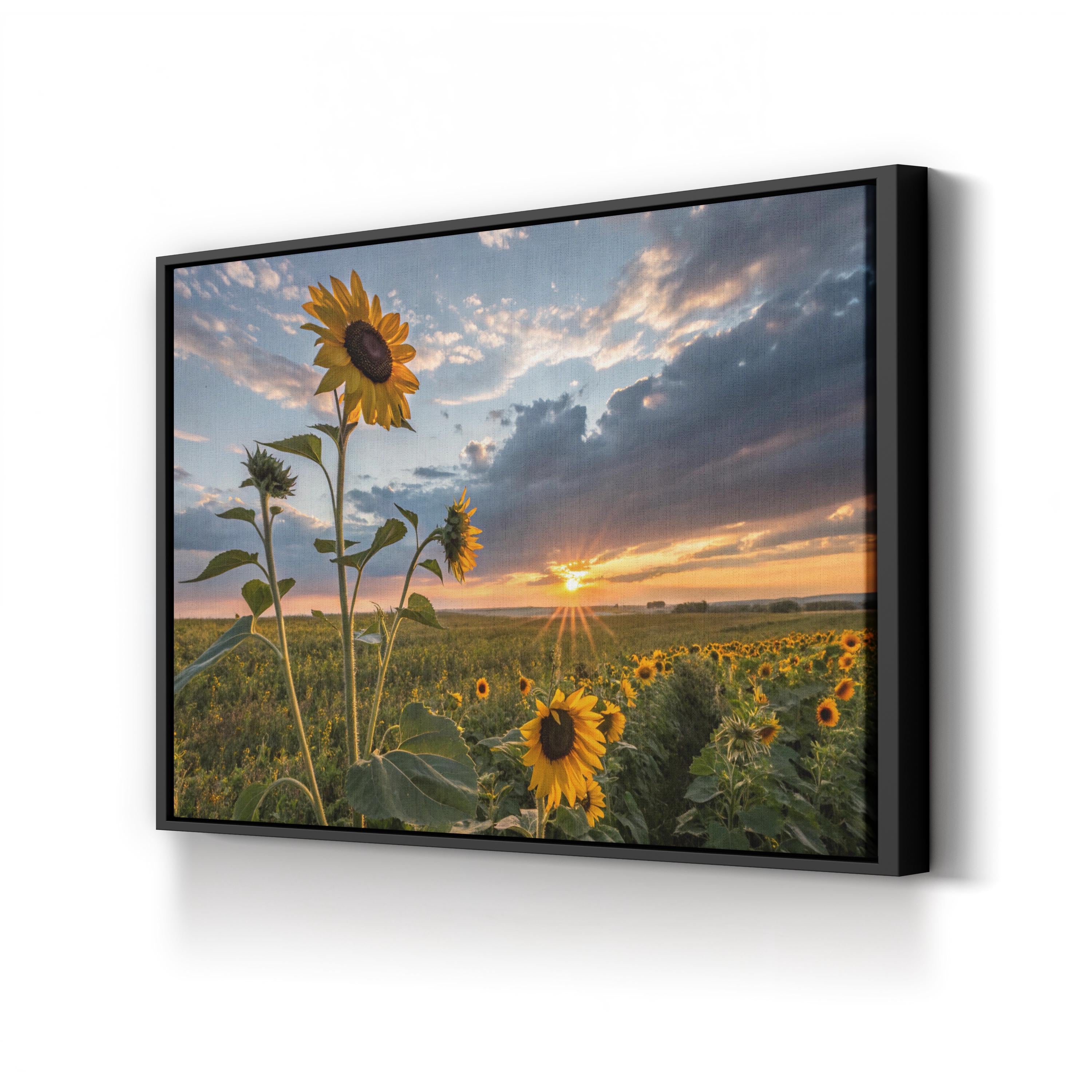 Sunflower Sunset – Vintage Photography Wall Art | Golden Hour Landscape Canvas Print