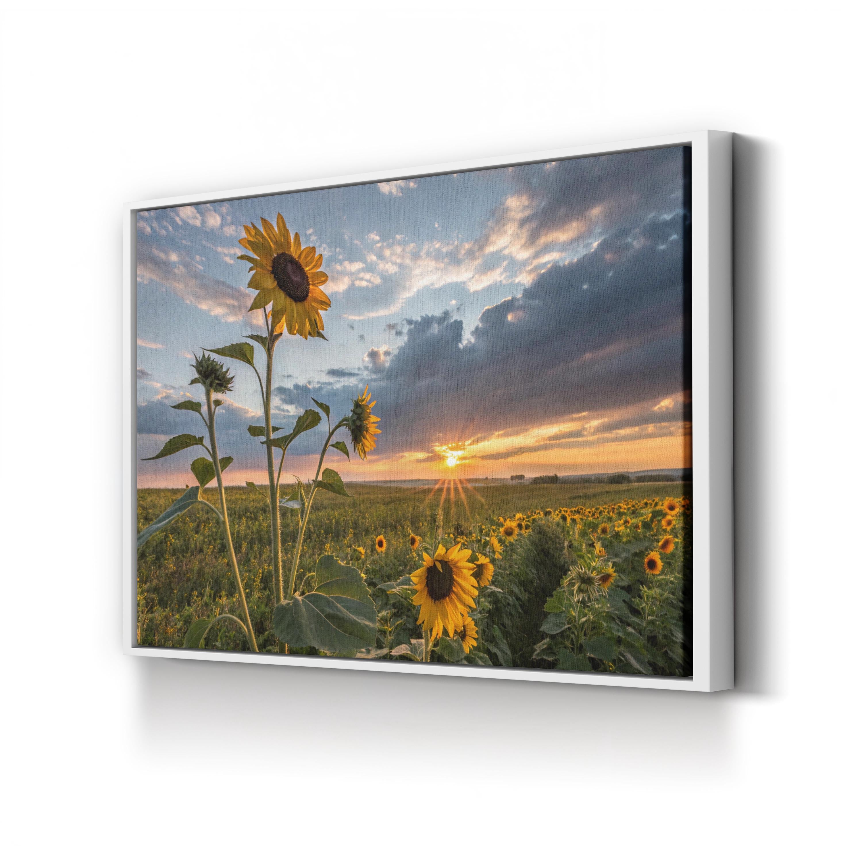 Sunflower Sunset – Vintage Photography Wall Art | Golden Hour Landscape Canvas Print