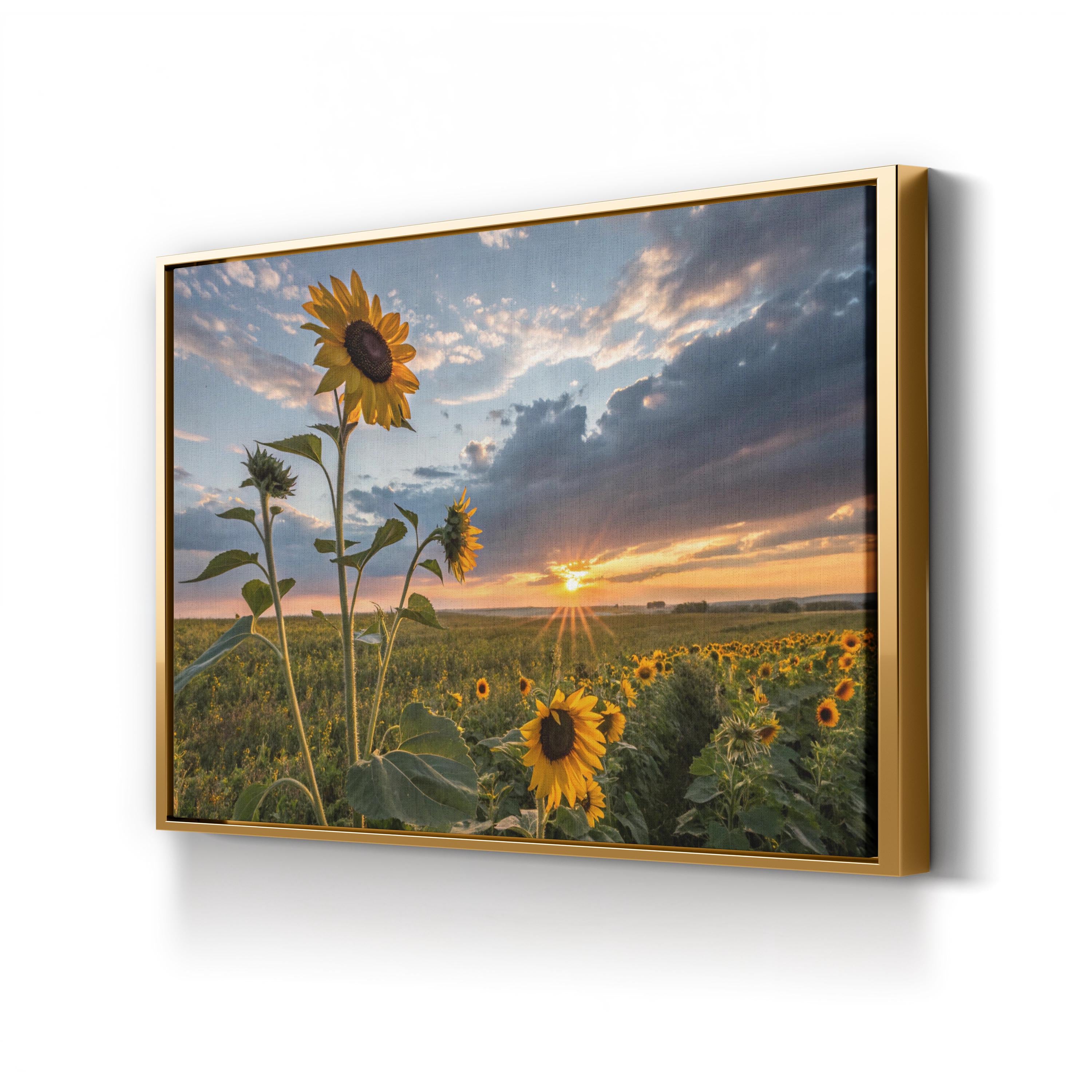 Sunflower Sunset – Vintage Photography Wall Art | Golden Hour Landscape Canvas Print