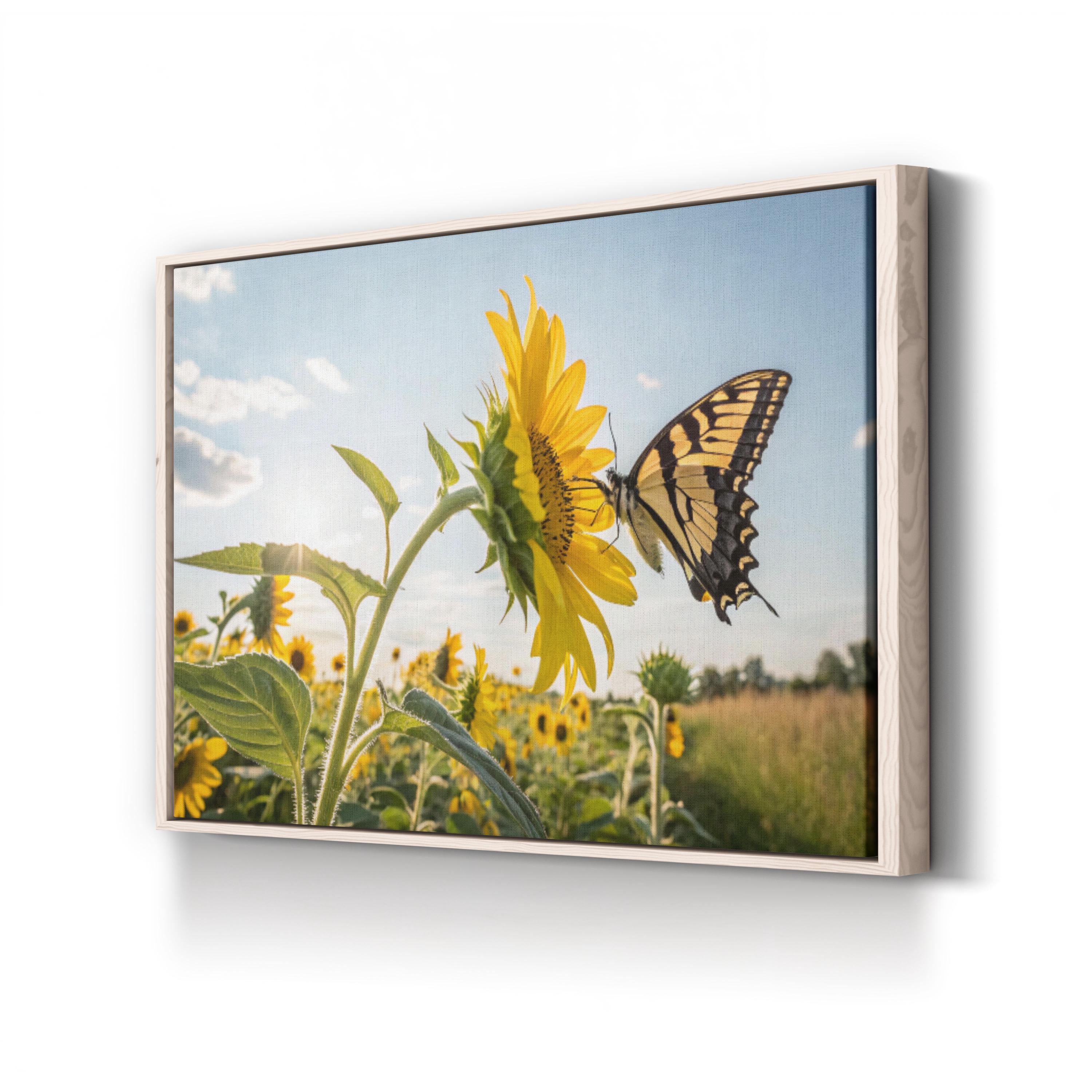 Sunflower & Butterfly – Vintage Photography Wall Art | Sunlit Field Canvas Print