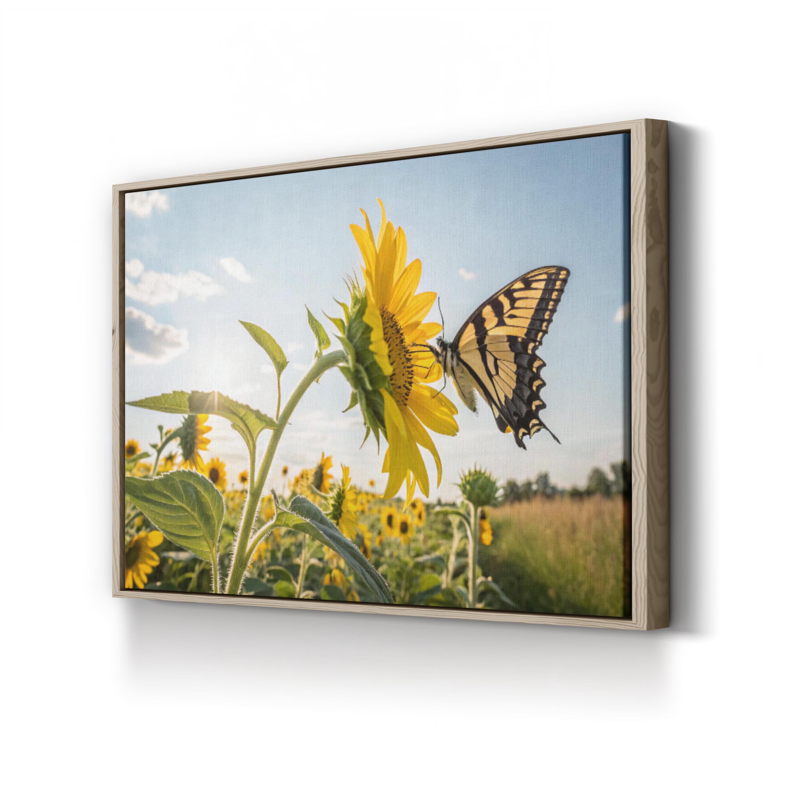 Sunflower & Butterfly – Vintage Photography Wall Art | Sunlit Field Canvas Print