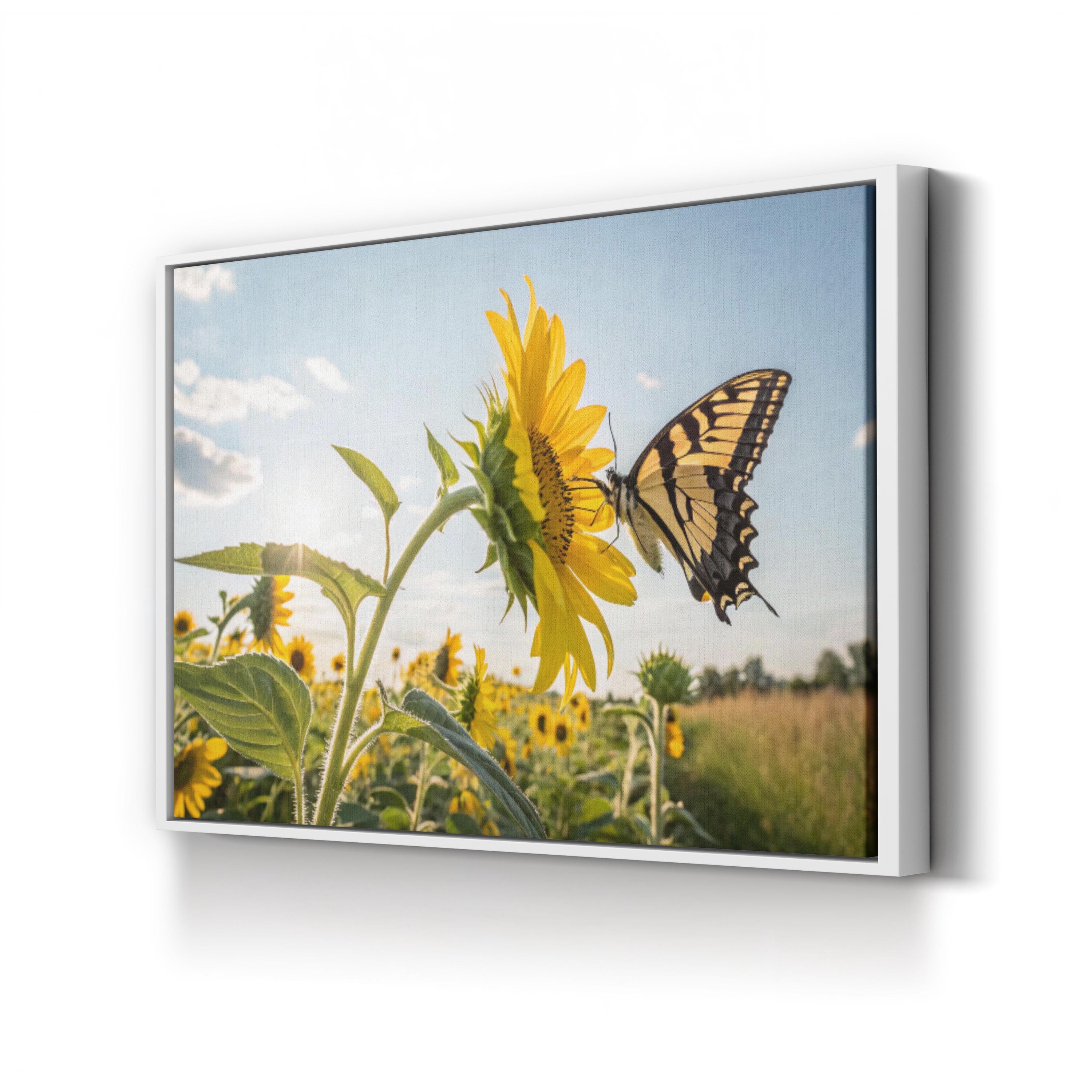Sunflower & Butterfly – Vintage Photography Wall Art | Sunlit Field Canvas Print