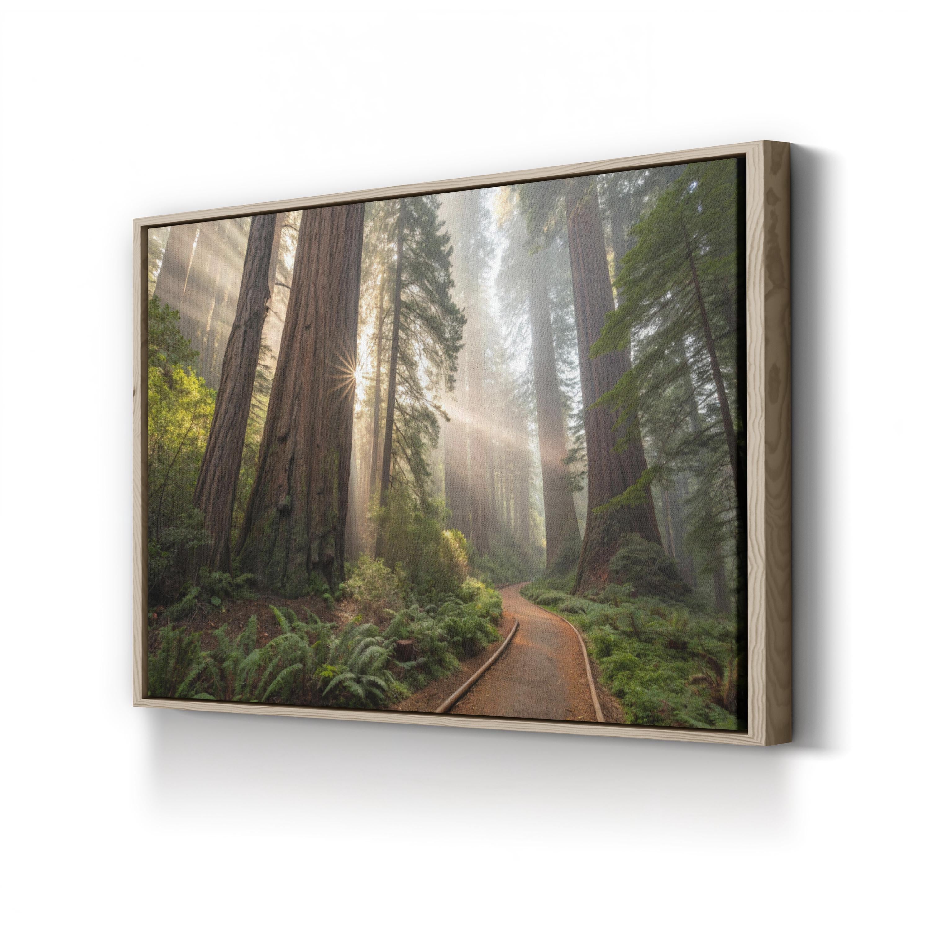Redwood Forest Sunrise – Vintage Photography Wall Art | Nature Landscape Canvas Print