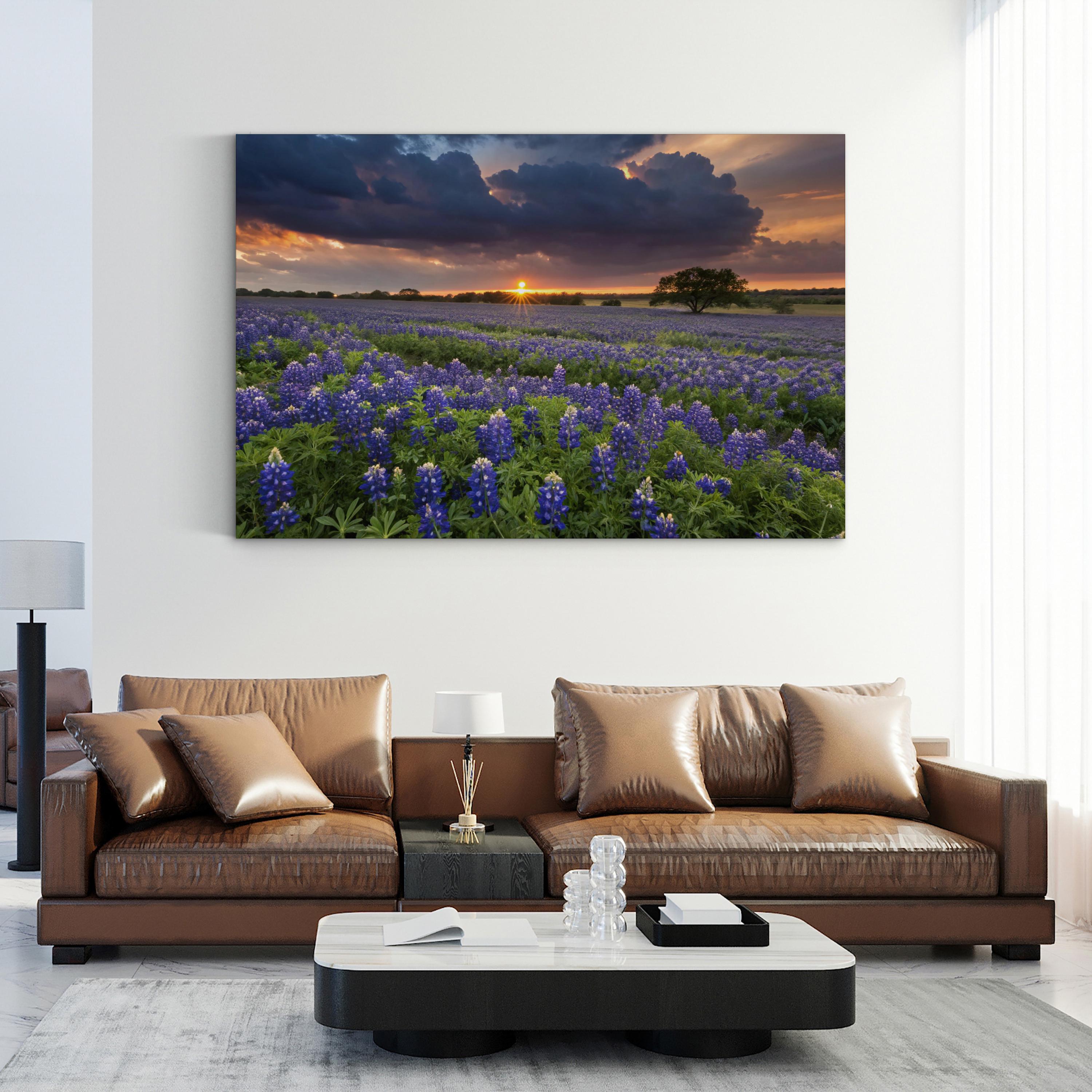 Texas Bluebonnet Field – Vintage Photography Wall Art | Wildflower Landscape Canvas Print