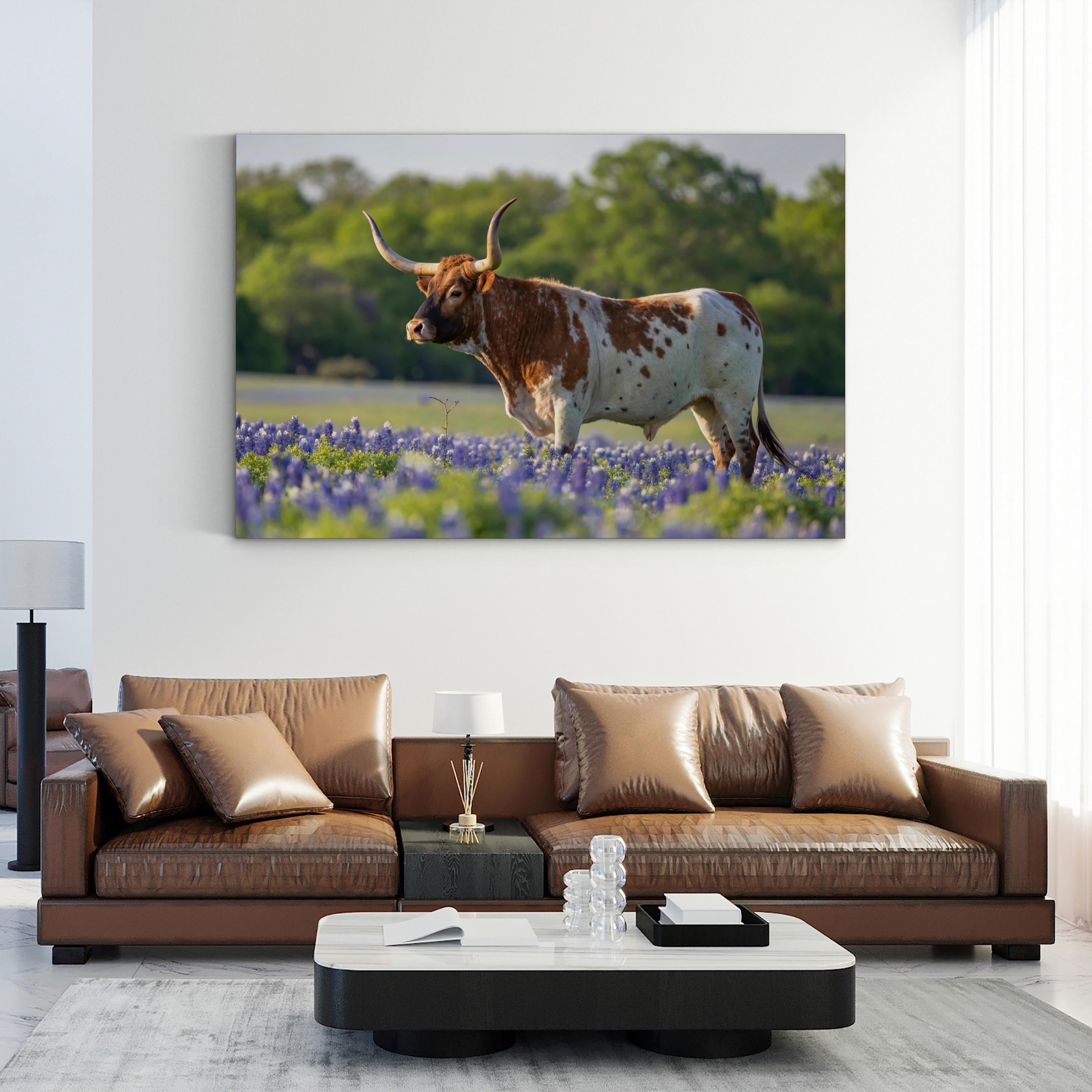 Texas Longhorn Bull Canvas – Western Farmhouse Wall Art