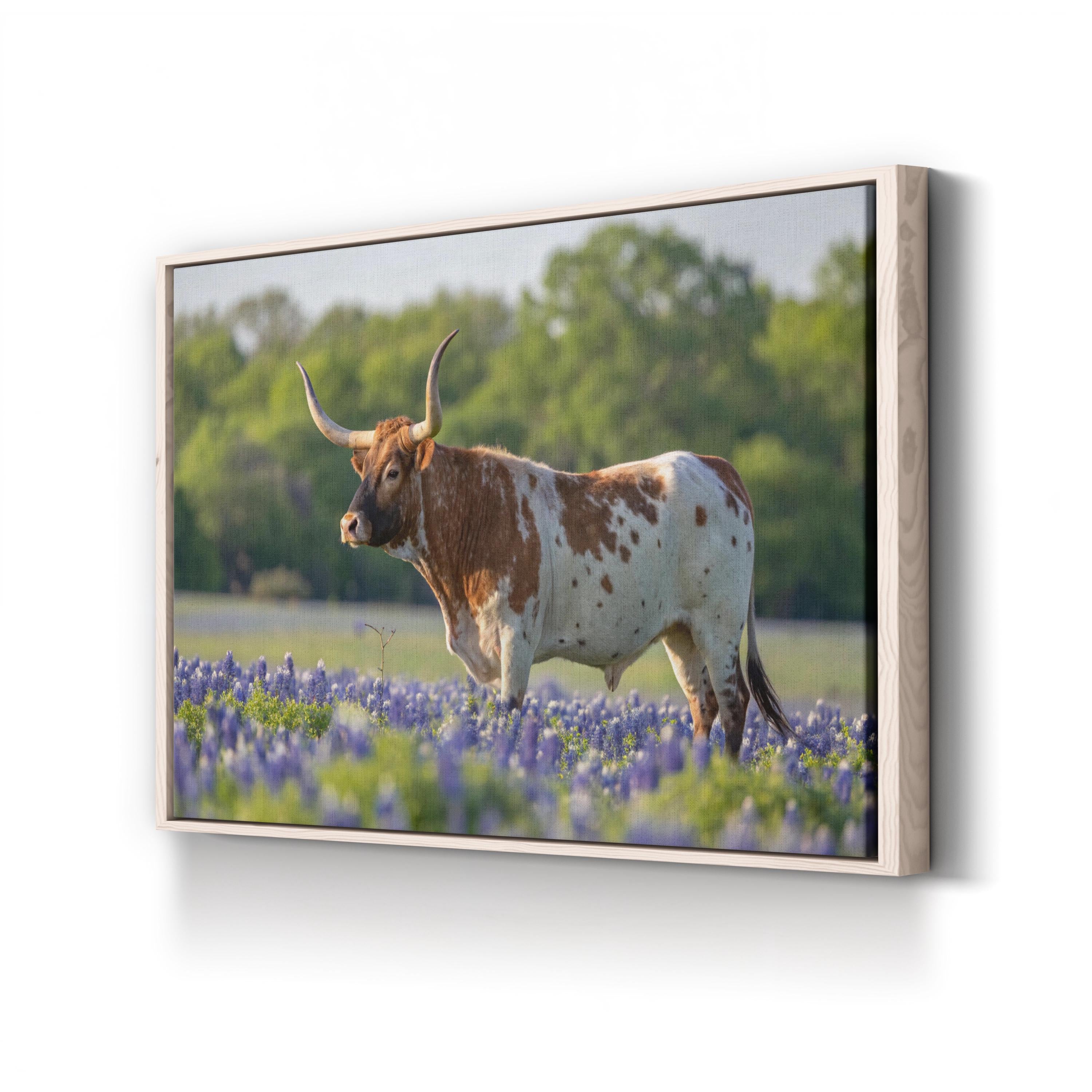 Texas Longhorn Bull Canvas – Western Farmhouse Wall Art