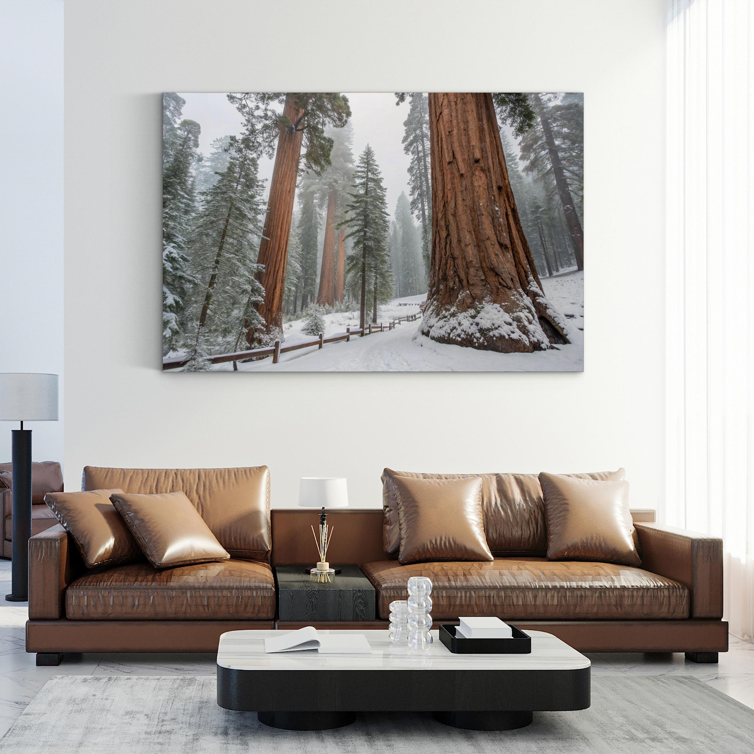 Snowy Sequoia Forest – Vintage Photography Wall Art | Winter Nature Canvas Print