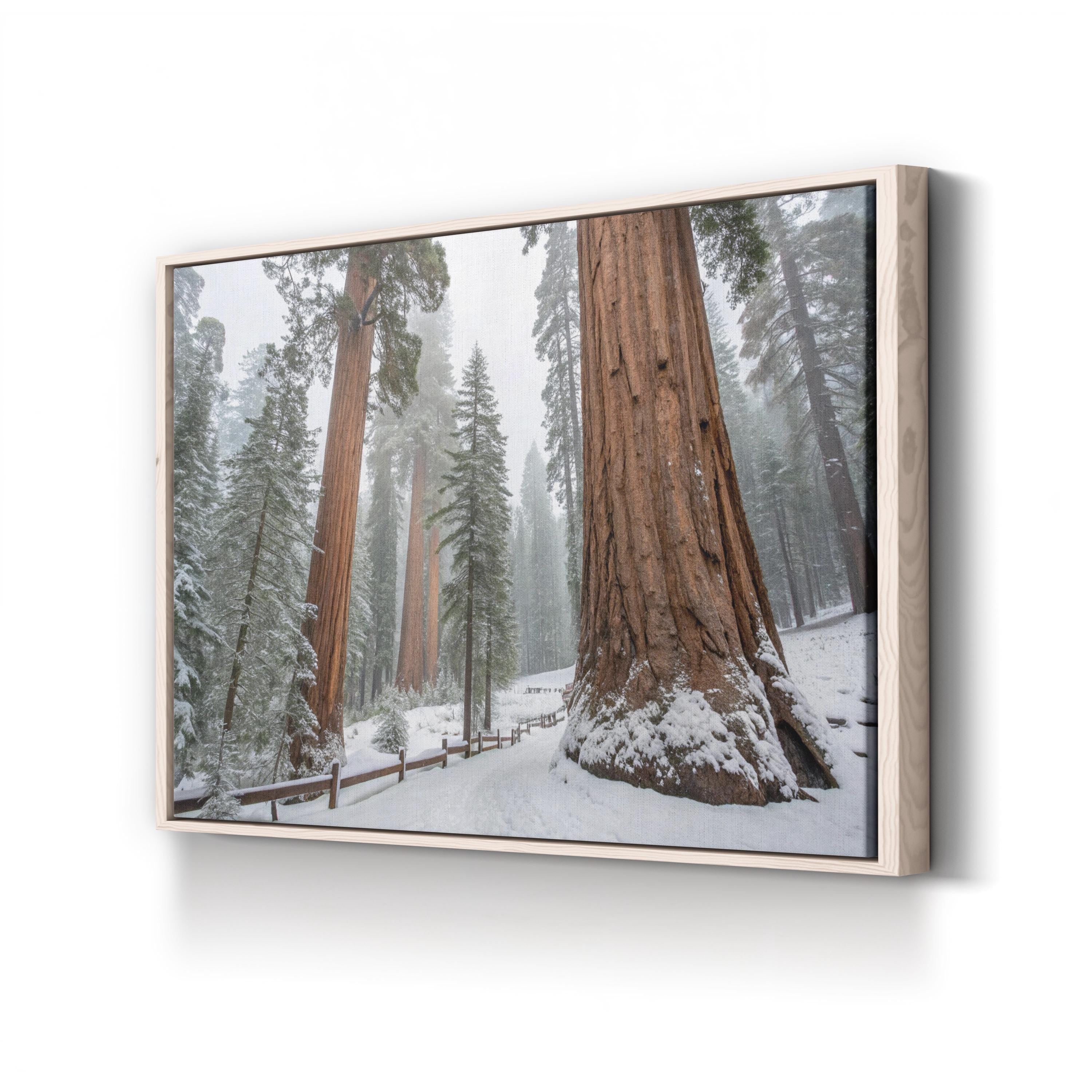 Snowy Sequoia Forest – Vintage Photography Wall Art | Winter Nature Canvas Print