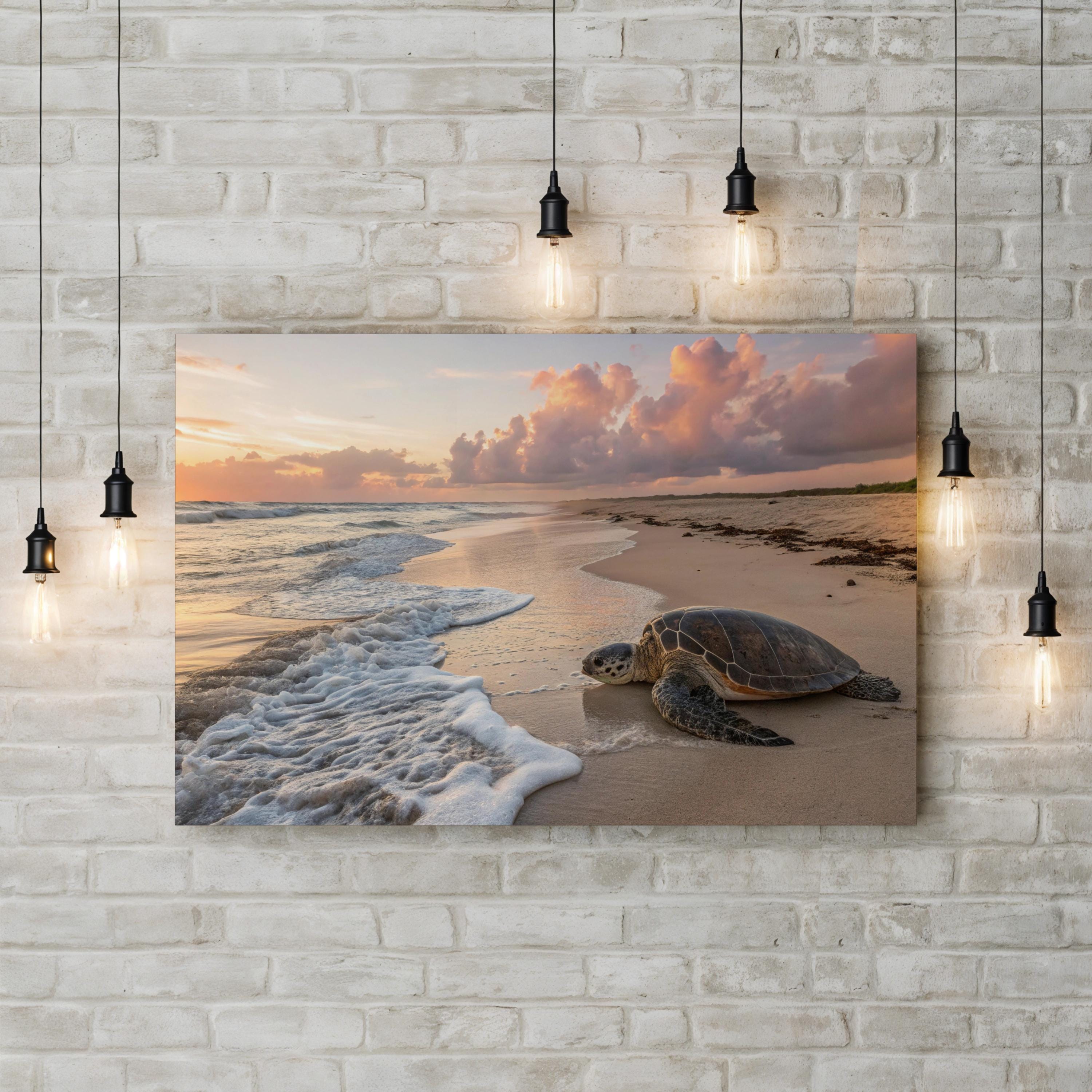 Sea Turtle Migration Season Sunset, Maui Hawaii Beach: Coastal Wildlife Photography