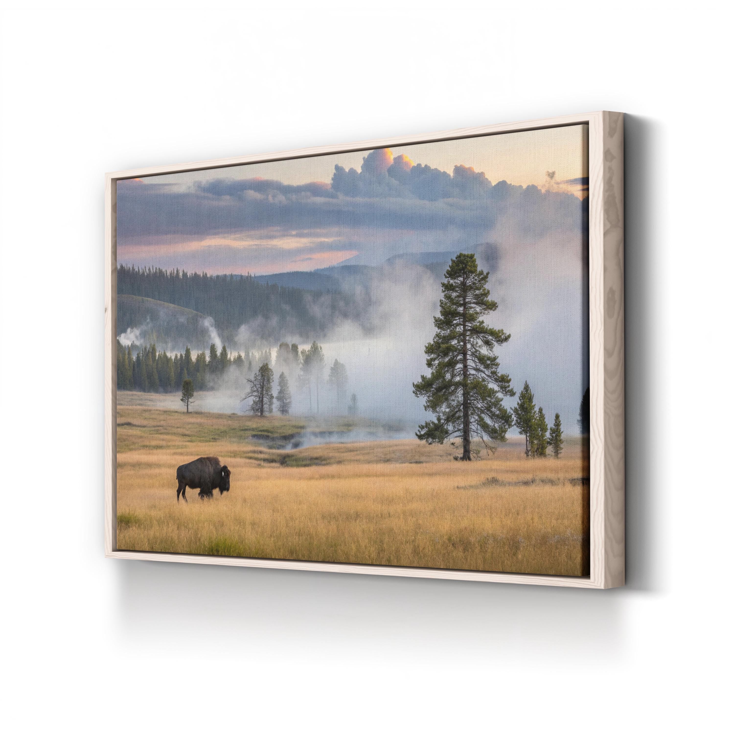 Yellowstone Bison at Dawn – Vintage Photography Wall Art | Western Wildlife Canvas Print