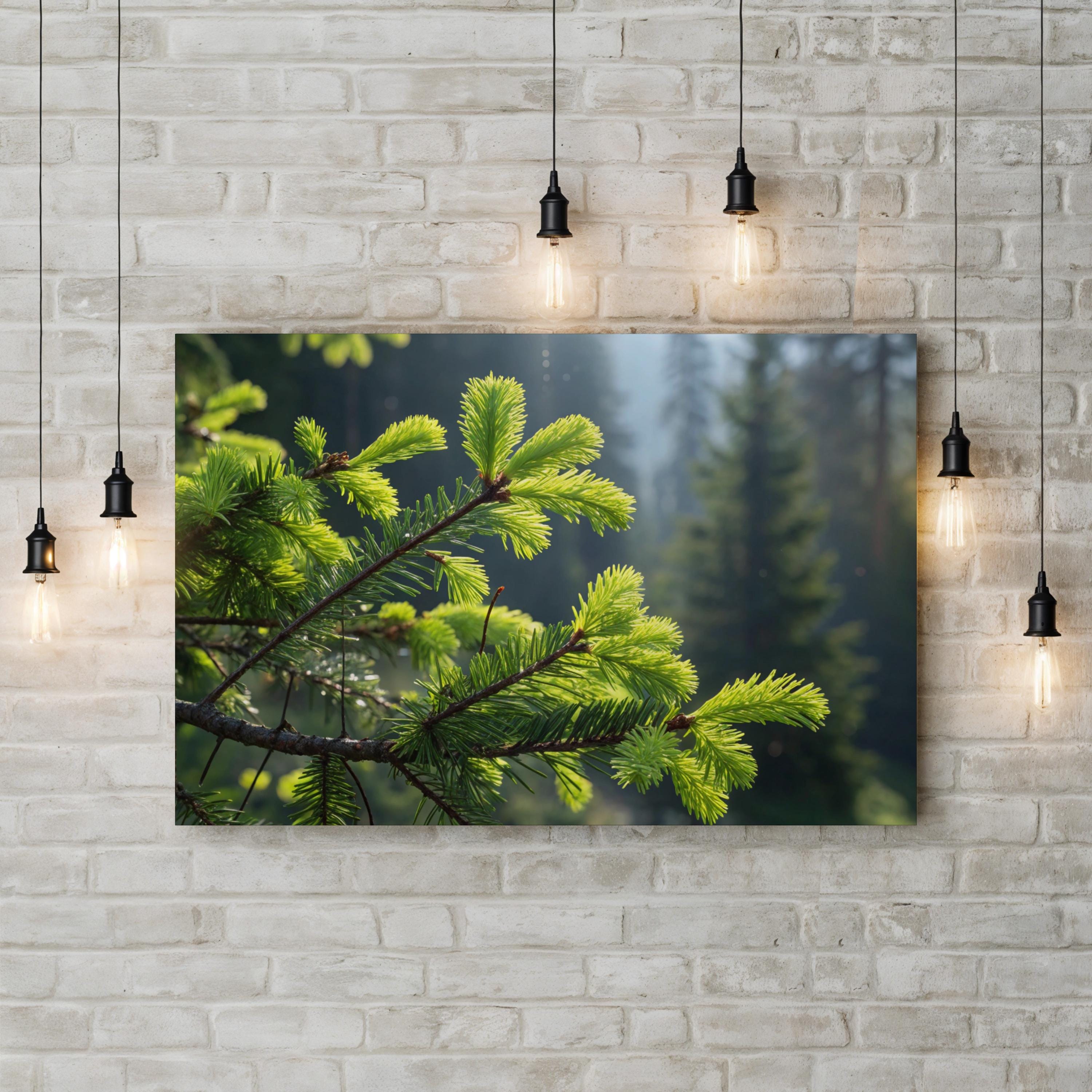 Pine Tree Needles Botanical – Vintage Photography Wall Art | Nature Canvas Print