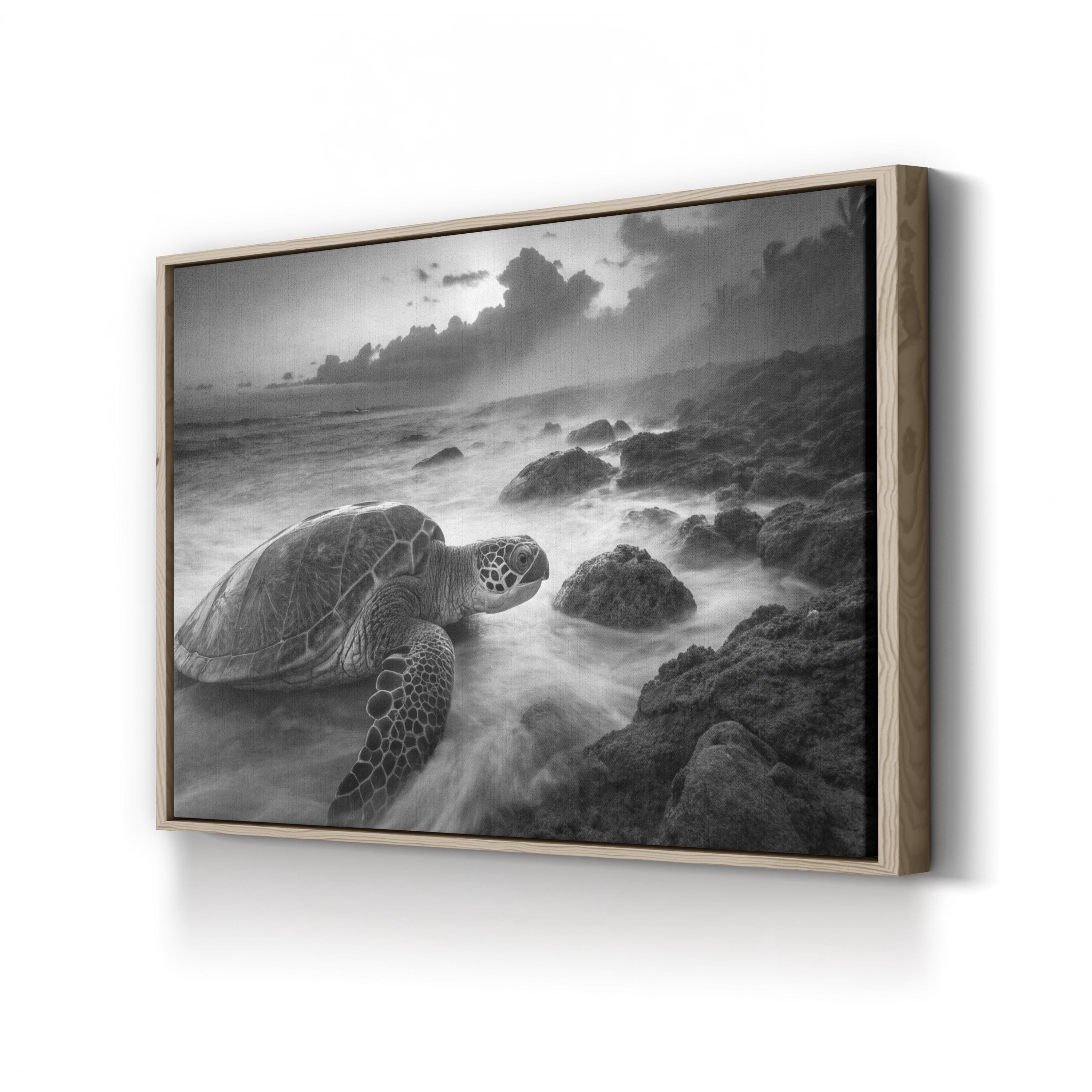 Black & White Sea Turtle – Vintage Photography Wall Art | Coastal Wildlife Canvas Print