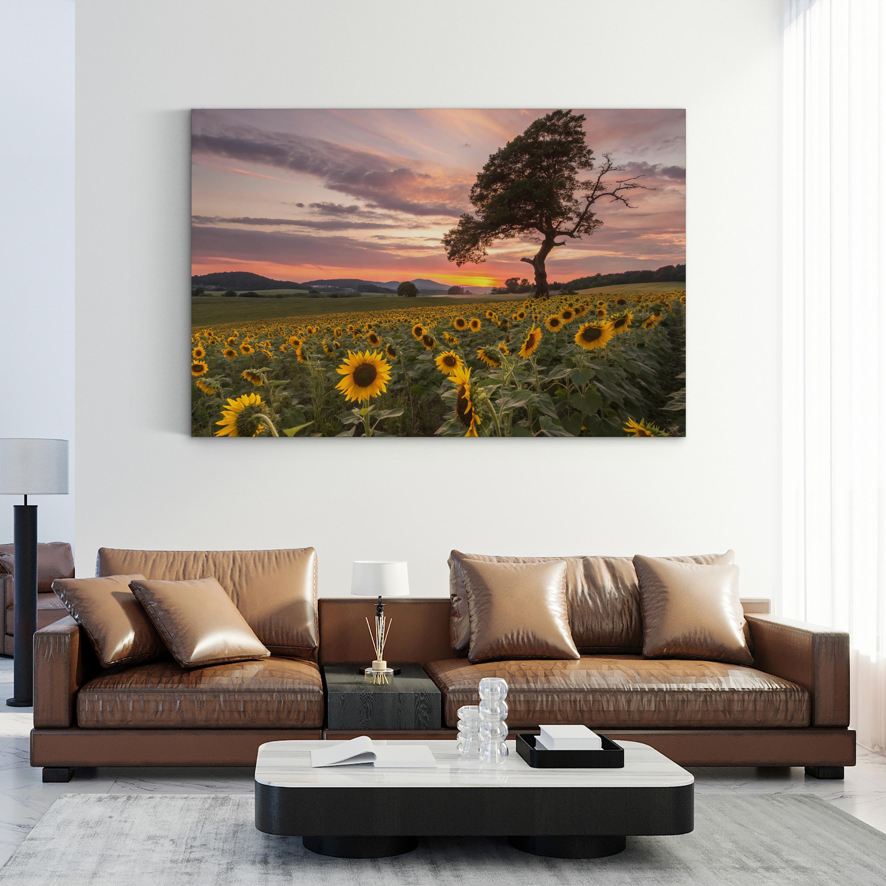 Sunflower Field at Sunset – Vintage Photography Wall Art | California Landscape Canvas Print