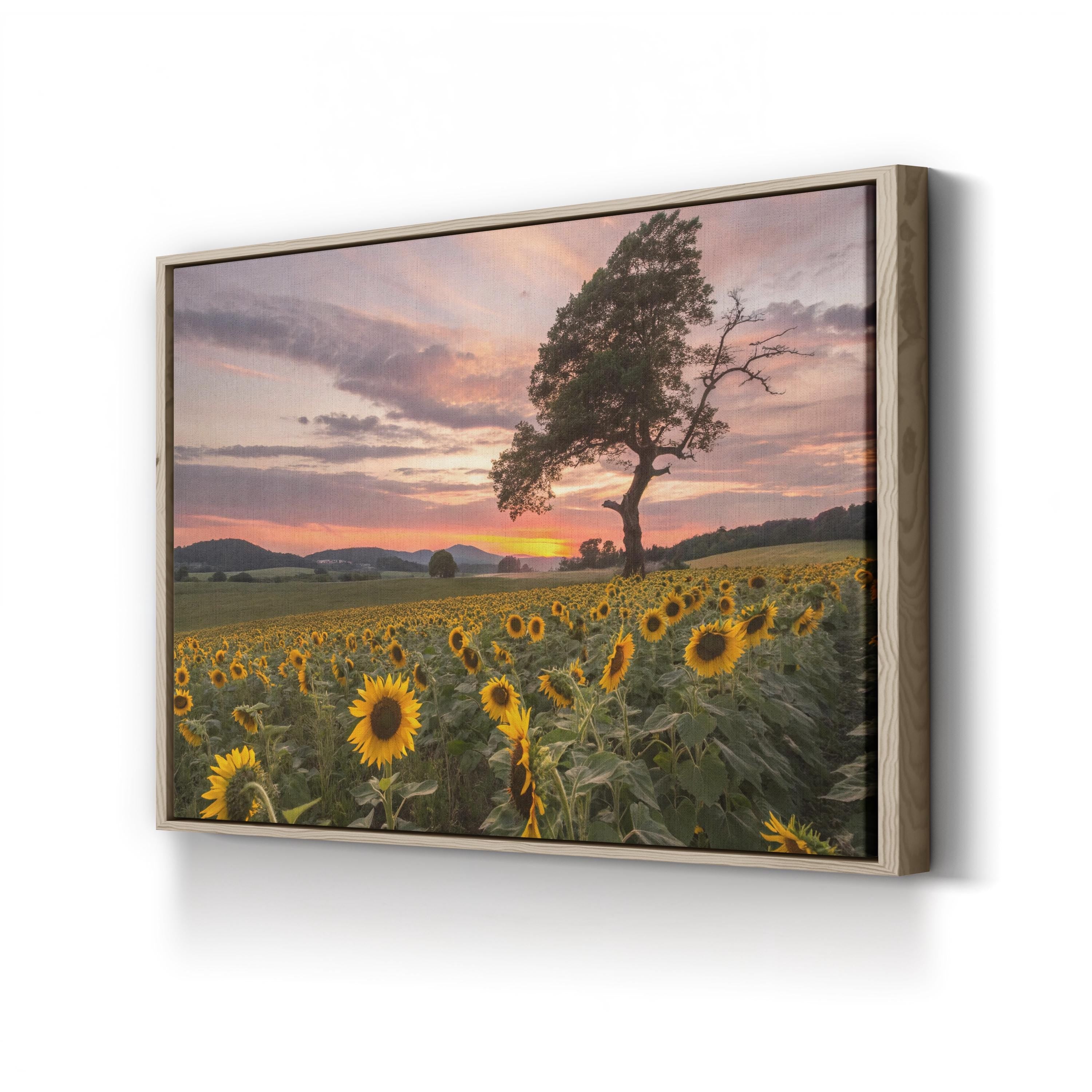 Sunflower Field at Sunset – Vintage Photography Wall Art | California Landscape Canvas Print