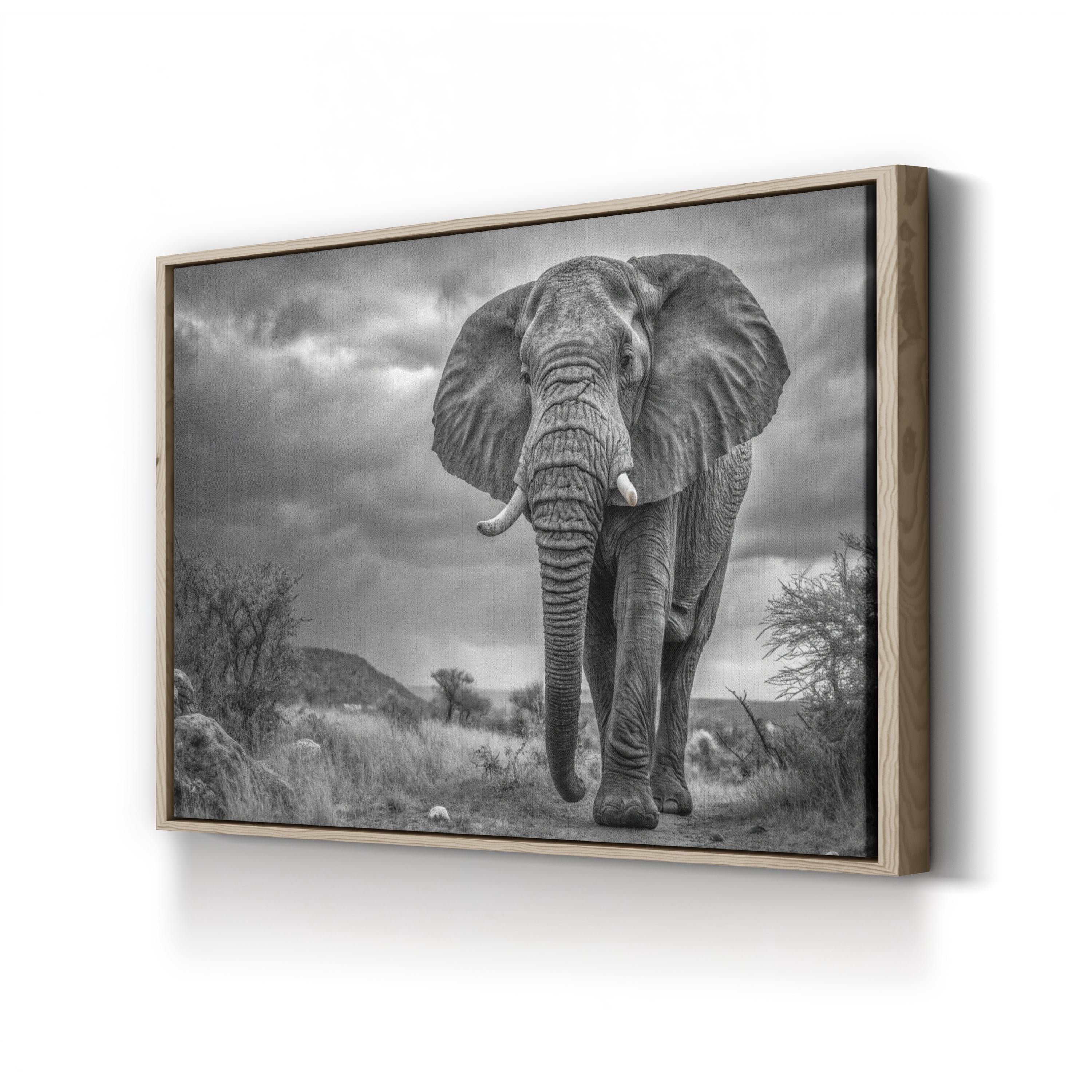 Elephant Natasha B&W Canvas – Modern Wildlife Wall Art