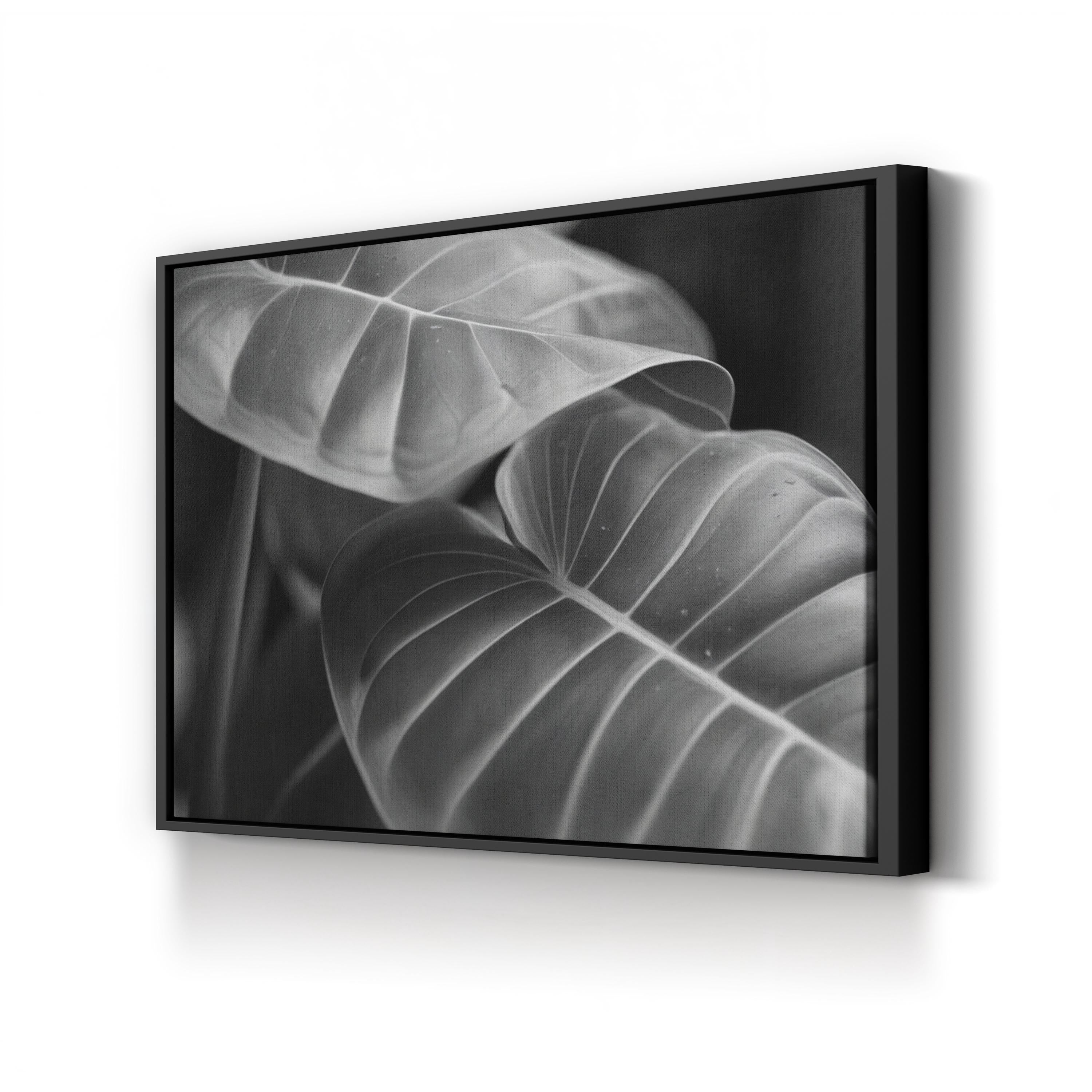Black & White Monstera Leaf – Vintage Photography Wall Art | Modern Botanical Canvas Print