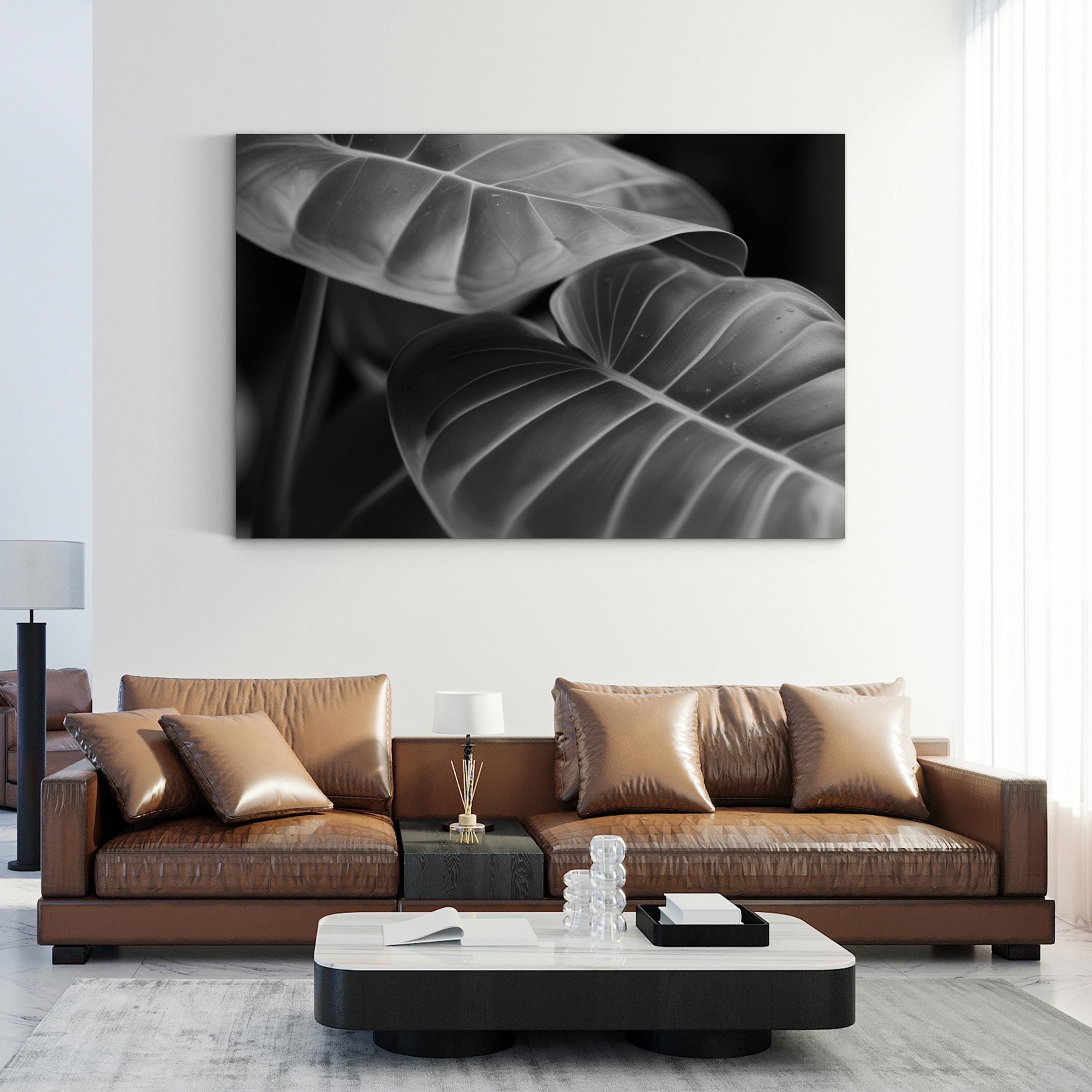 Black & White Monstera Leaf – Vintage Photography Wall Art | Modern Botanical Canvas Print