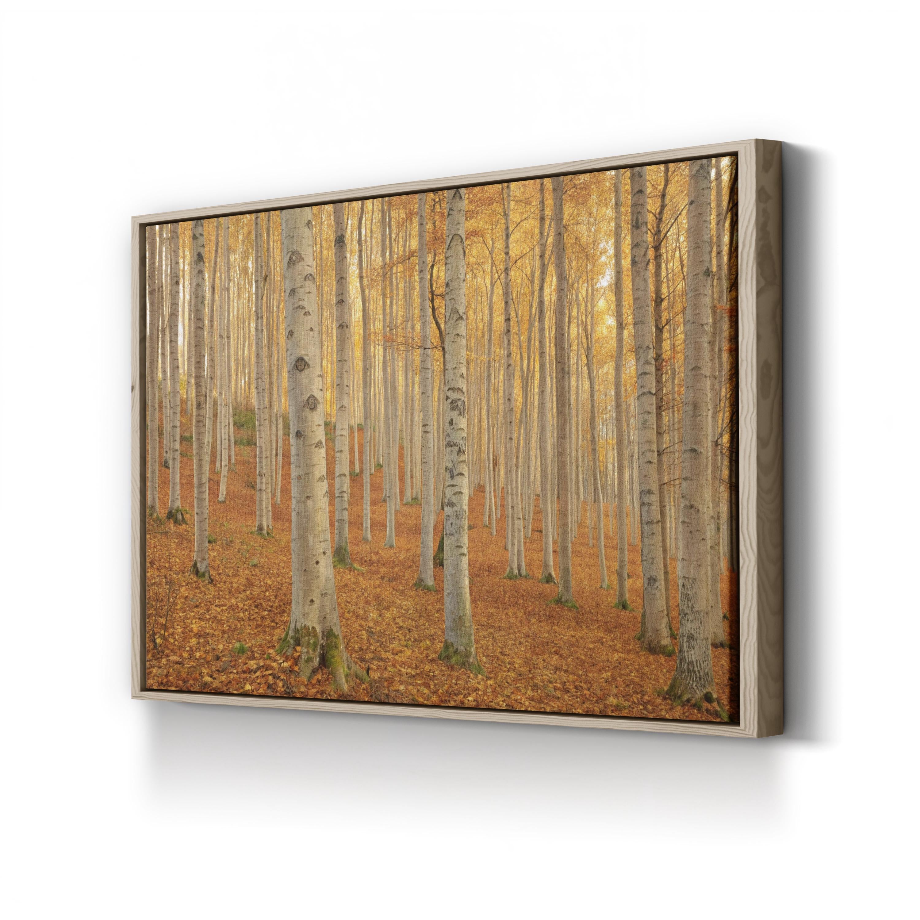 Autumn Beech Grove – Period Illustration Wall Art | Forest Path Canvas Print