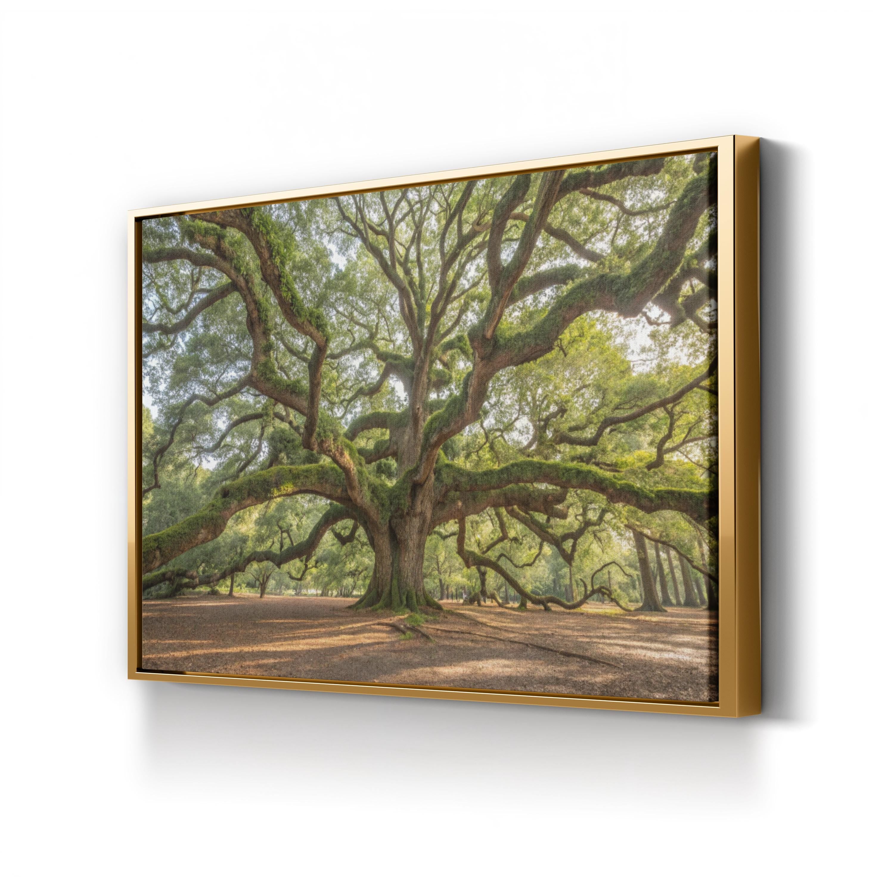 Angel Oak, Charleston, South Carolina Wall Art by Holly Looney – Southern Landscape Photograph