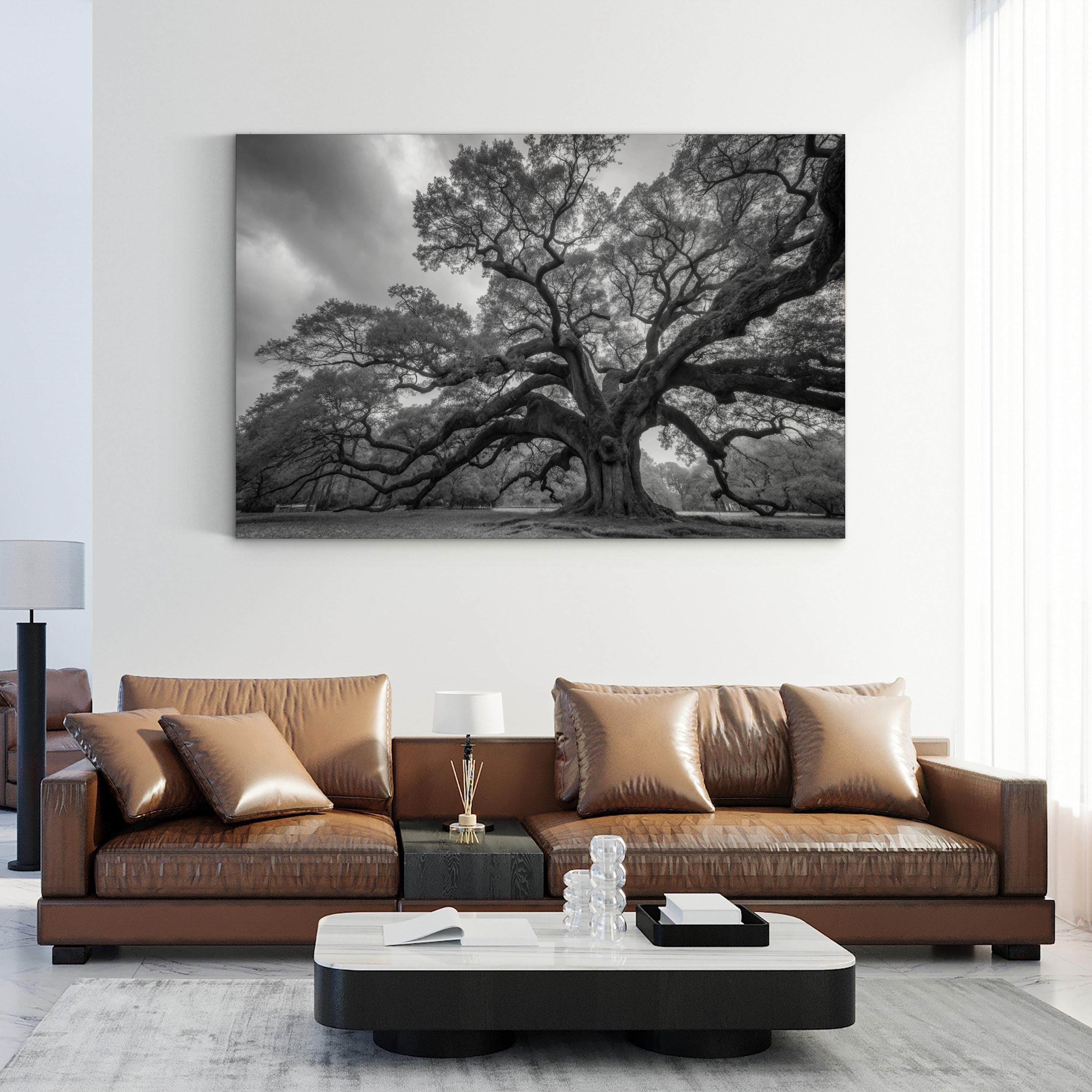 Charleston’s Angel Oak: Monumental Black & White Photography