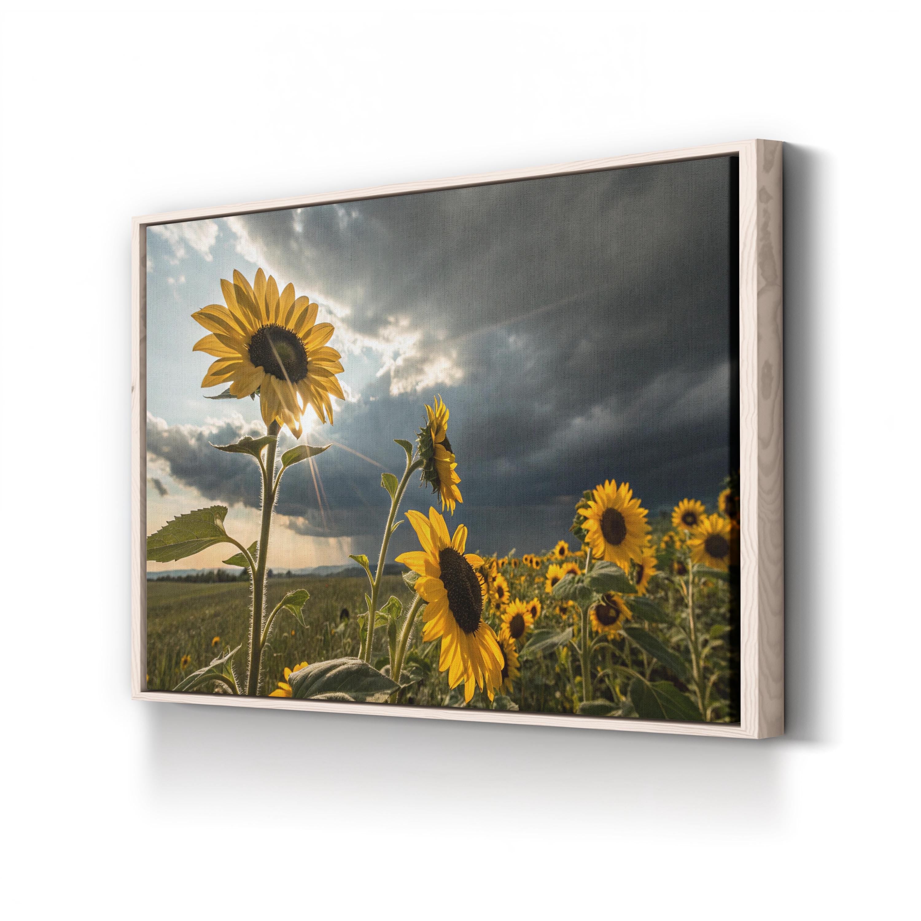 Sunflower Field at Dusk – Vintage Photography Wall Art | Dramatic Landscape Canvas Print