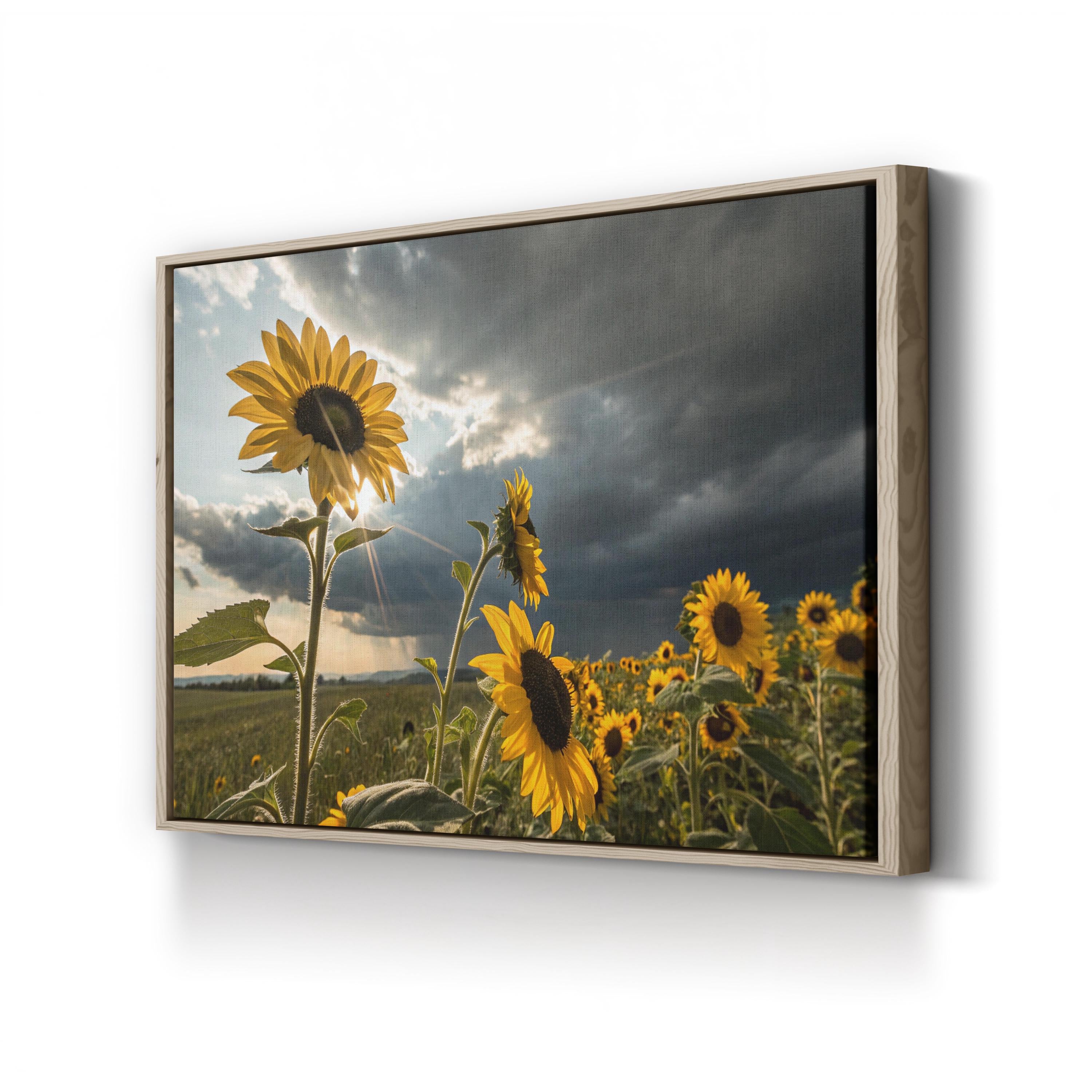 Sunflower Field at Dusk – Vintage Photography Wall Art | Dramatic Landscape Canvas Print