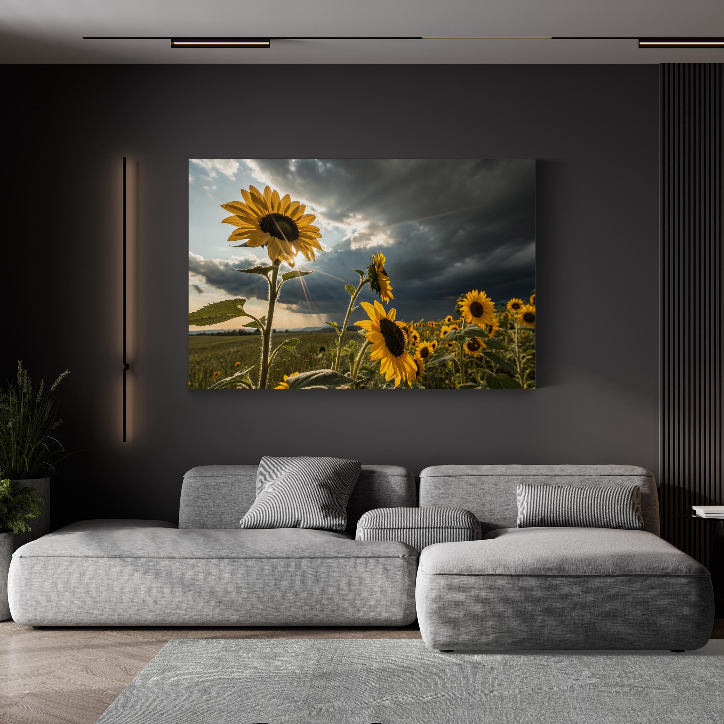 Sunflower Field at Dusk – Vintage Photography Wall Art | Dramatic Landscape Canvas Print