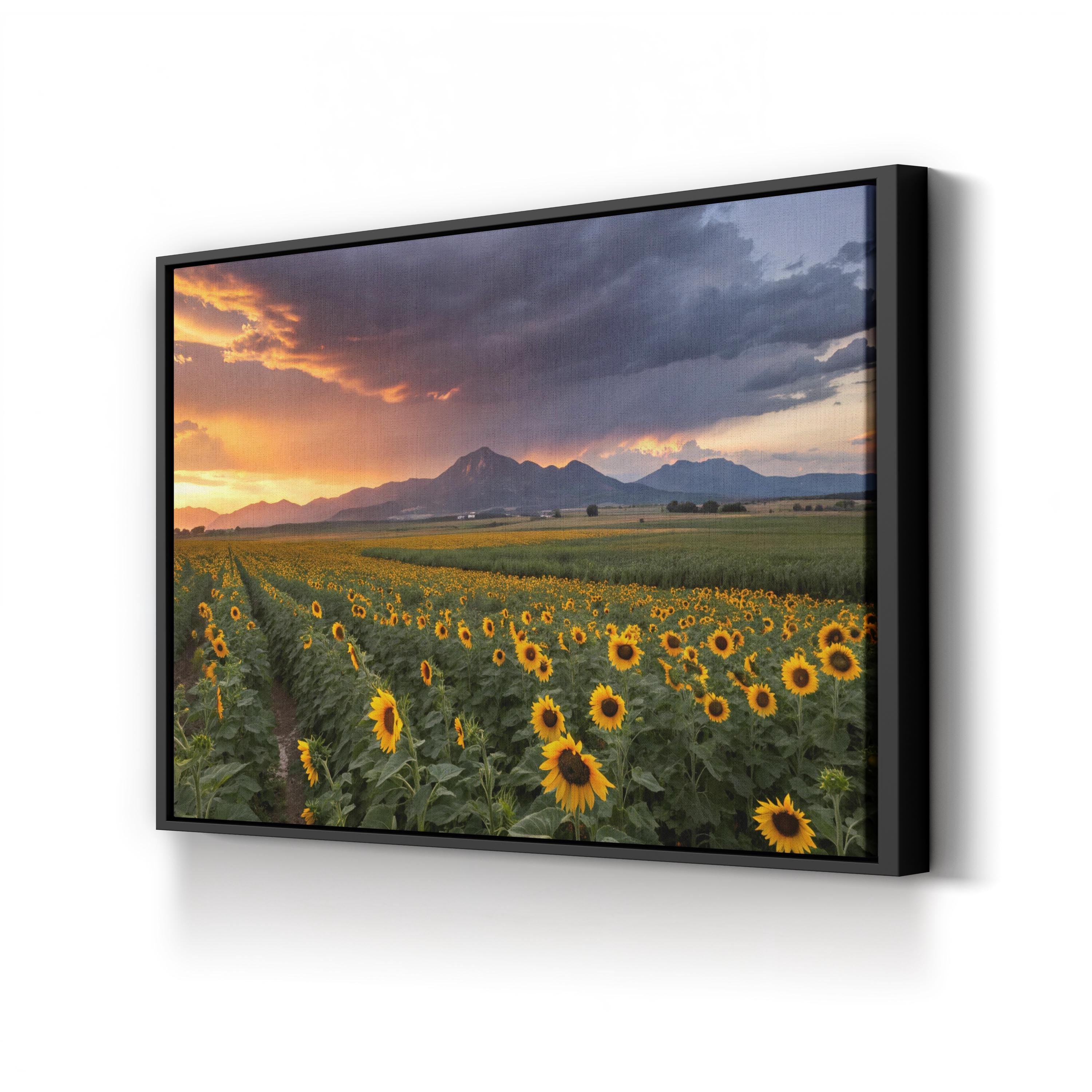 Colorado Sunflower Field – Vintage Photography Wall Art | Mountain Landscape Canvas Print