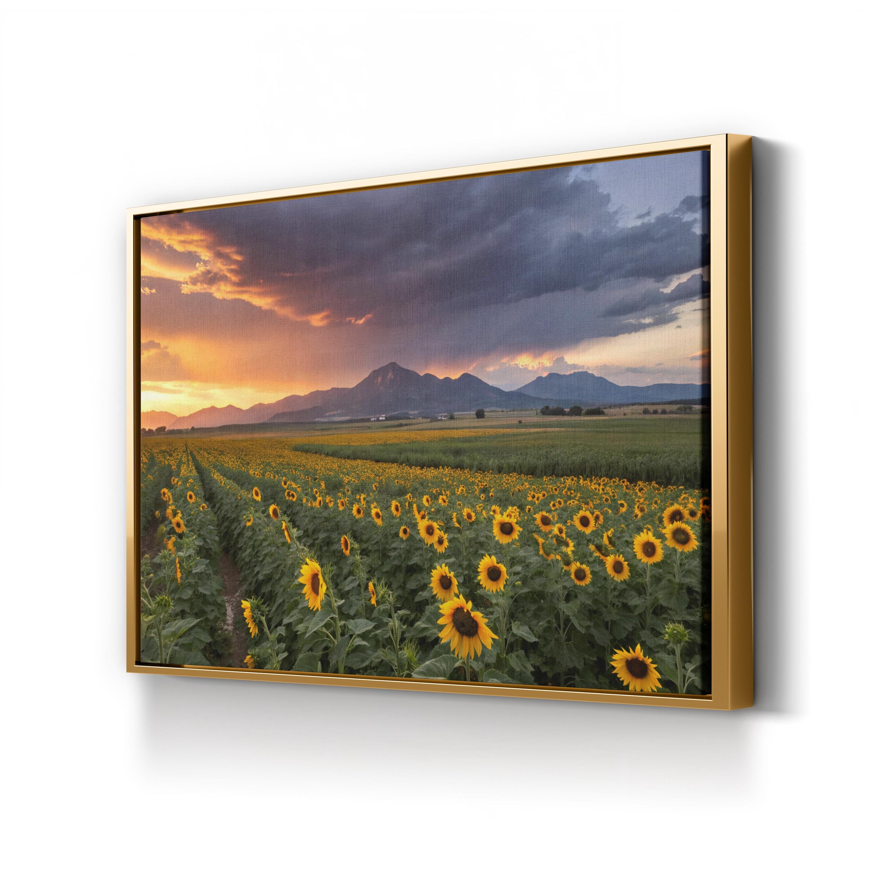 Colorado Sunflower Field – Vintage Photography Wall Art | Mountain Landscape Canvas Print