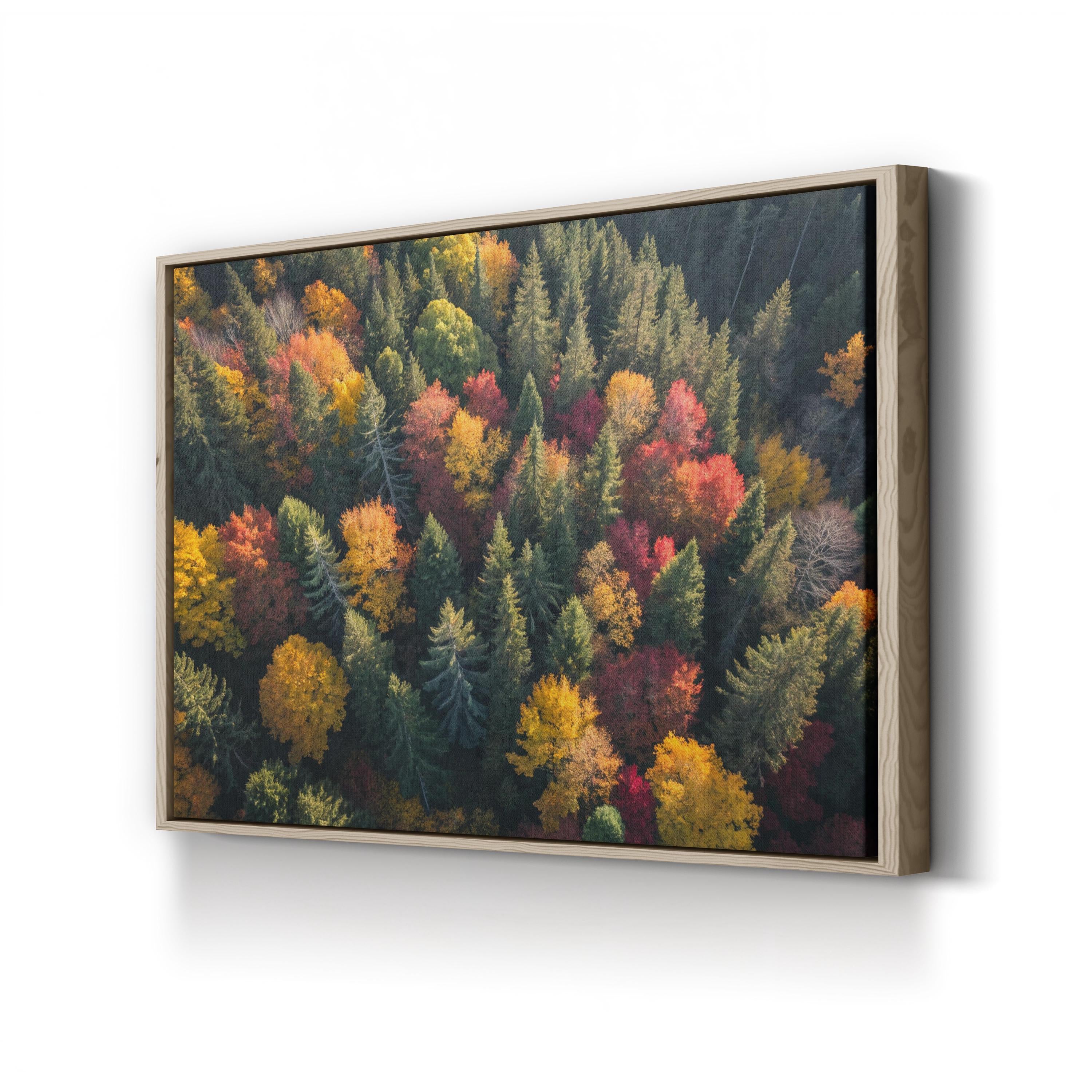 Autumn Forest Canopy Aerial – Vintage Photography Wall Art | Fall Foliage Canvas Print