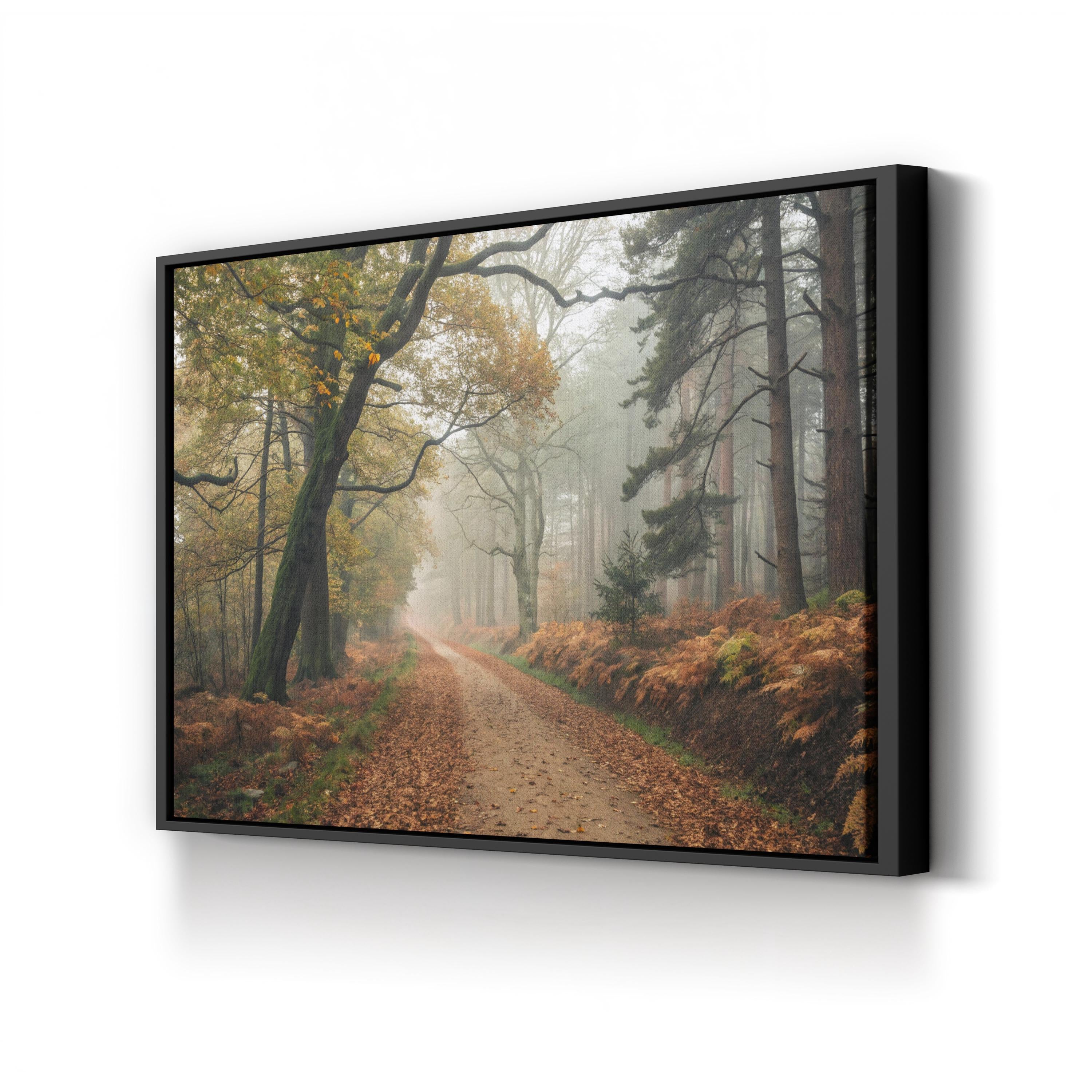 Autumn Forest Misty Path – Vintage Photography Wall Art | Nature Landscape Canvas Print