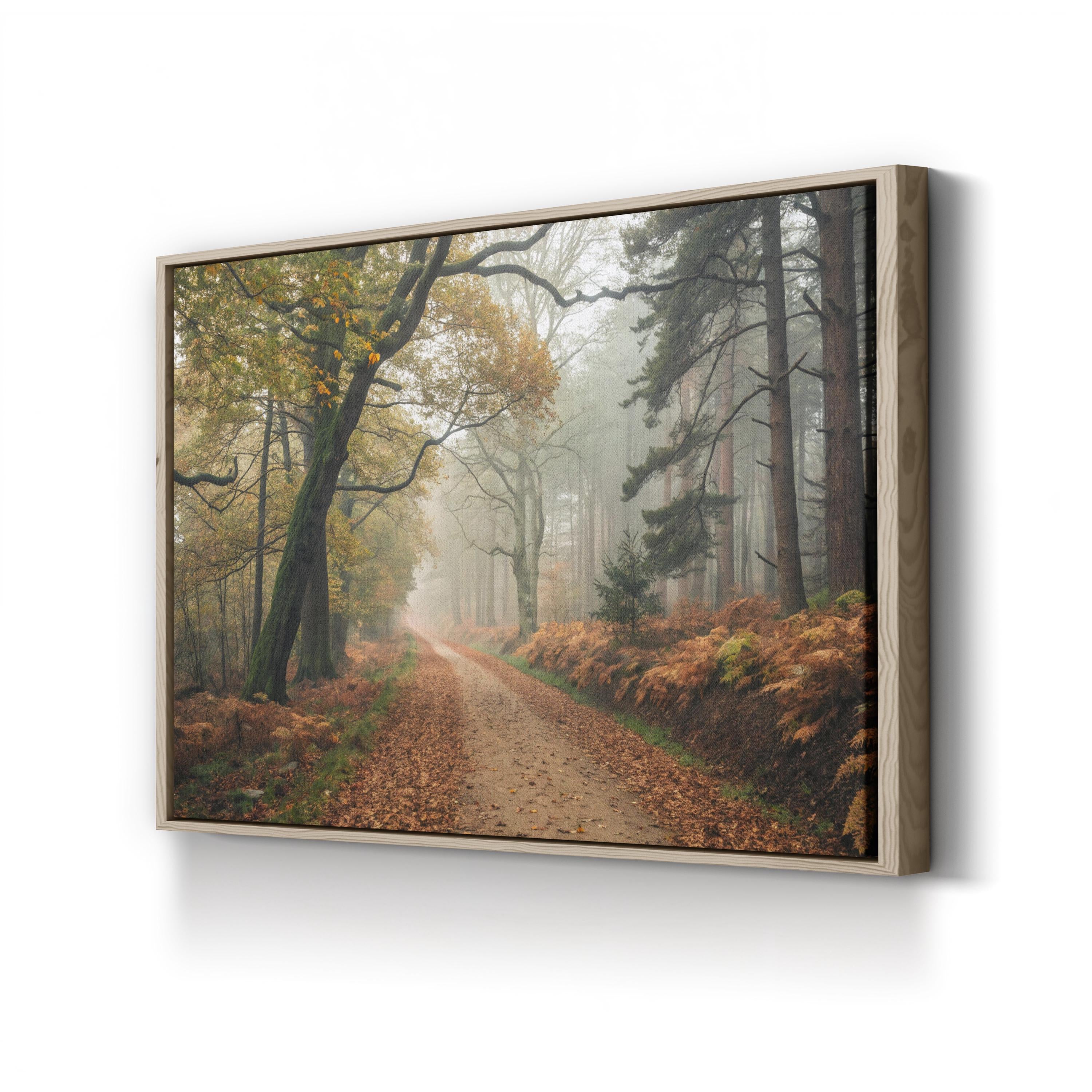 Autumn Forest Misty Path – Vintage Photography Wall Art | Nature Landscape Canvas Print