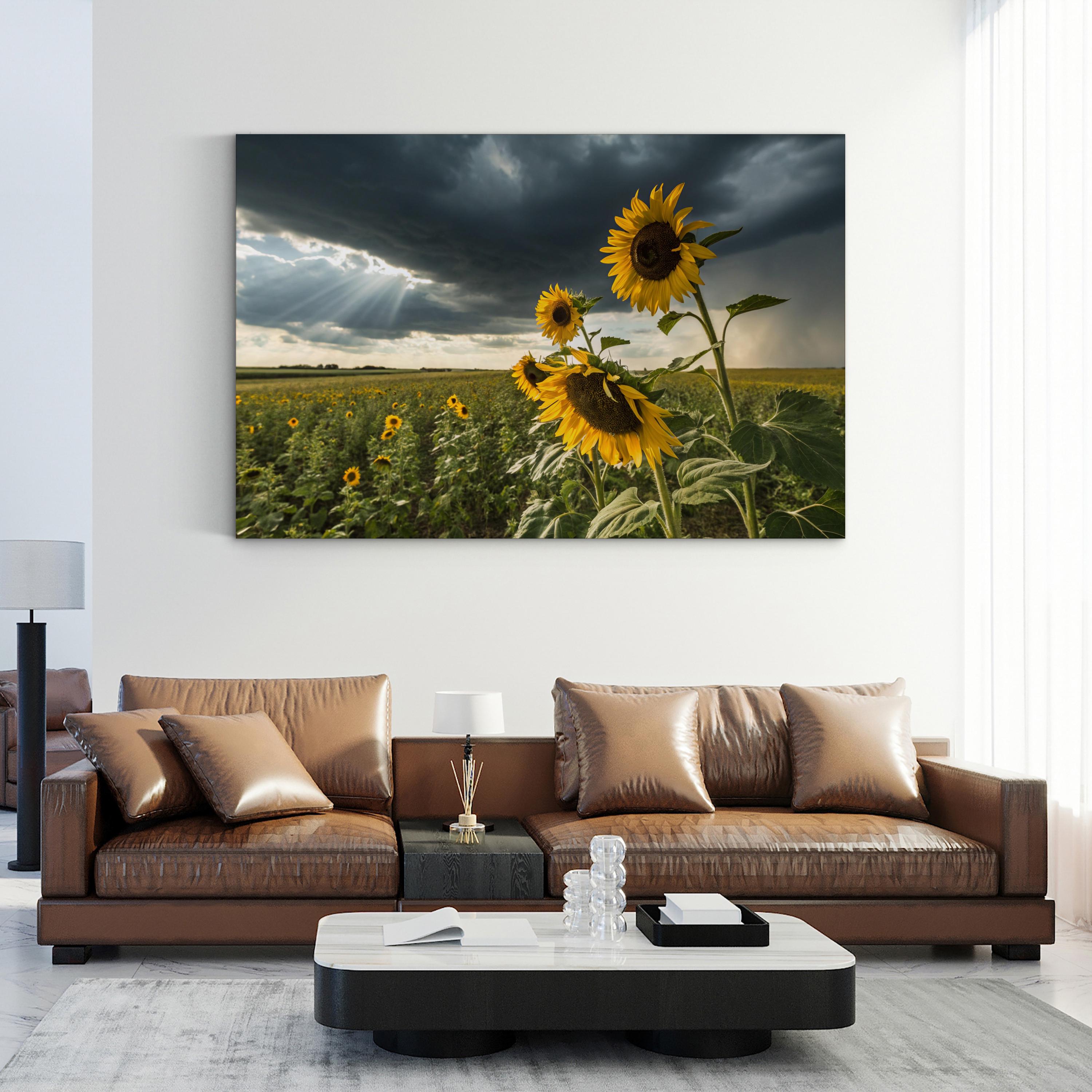 Sunflower Field – Period Illustration Wall Art | Nature Landscape Canvas Print