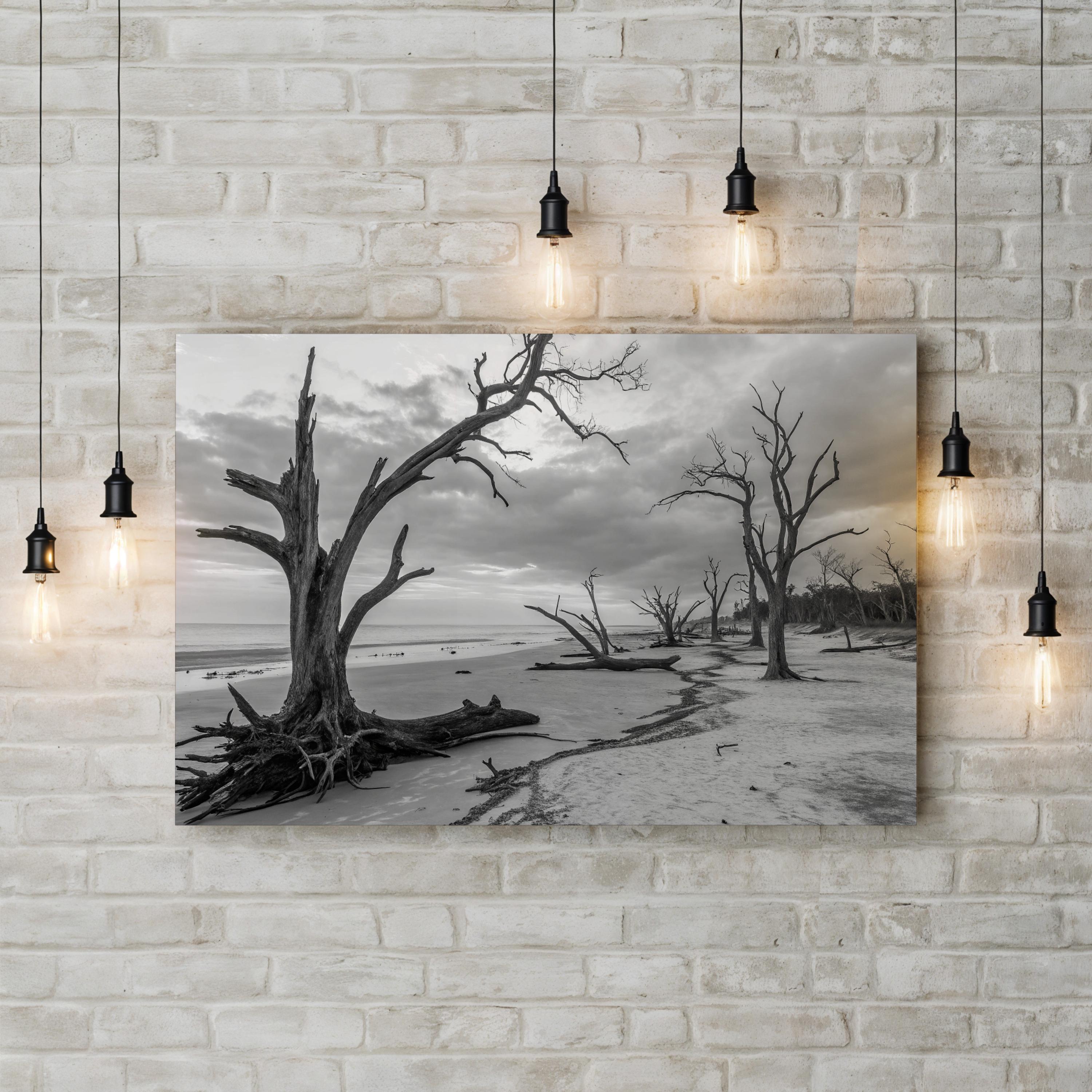 Jekyll Island Beach – Vintage Photography Wall Art | Black & White Coastal Canvas Print