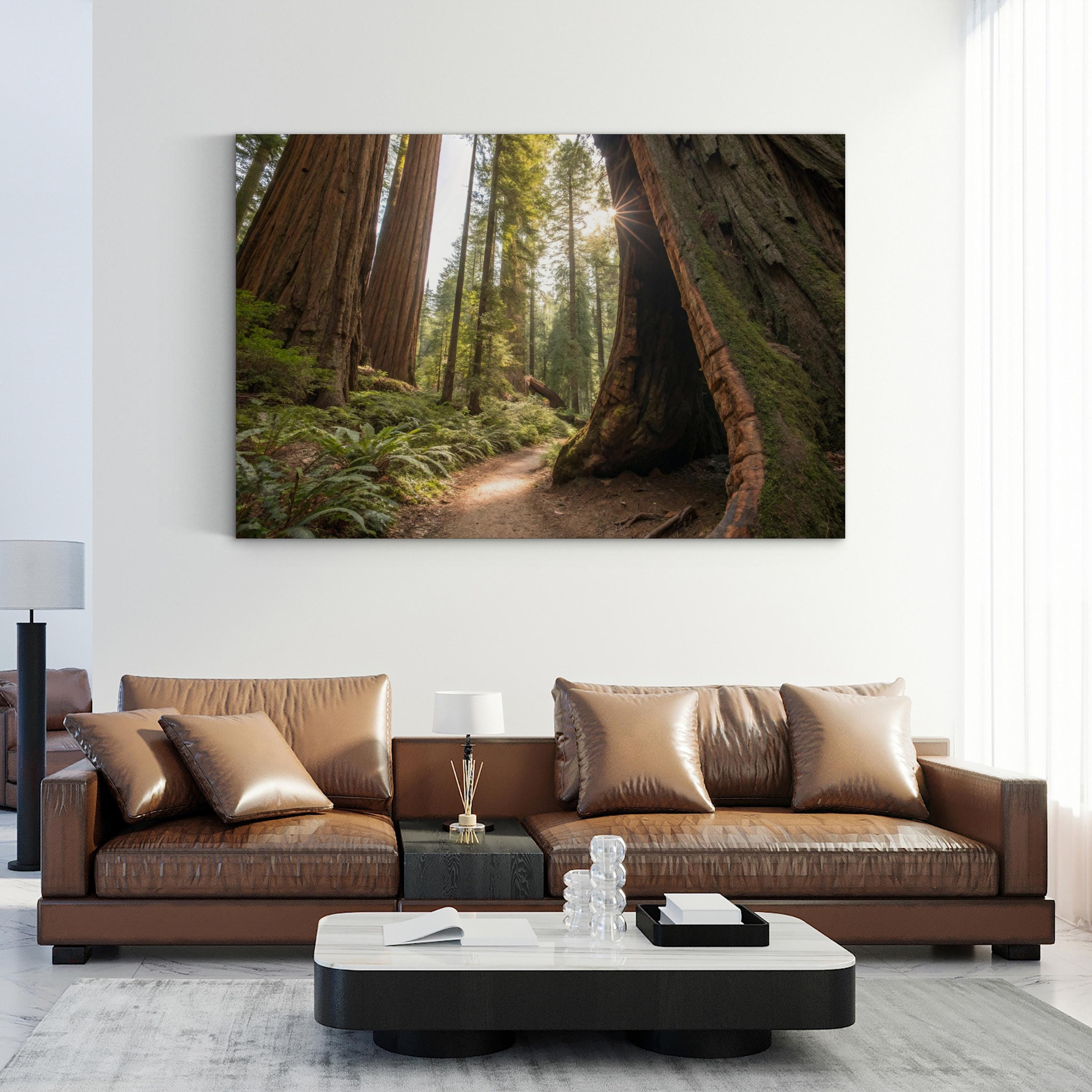 Muir Woods Sequoias – Vintage Photography Wall Art | California Forest Canvas Print