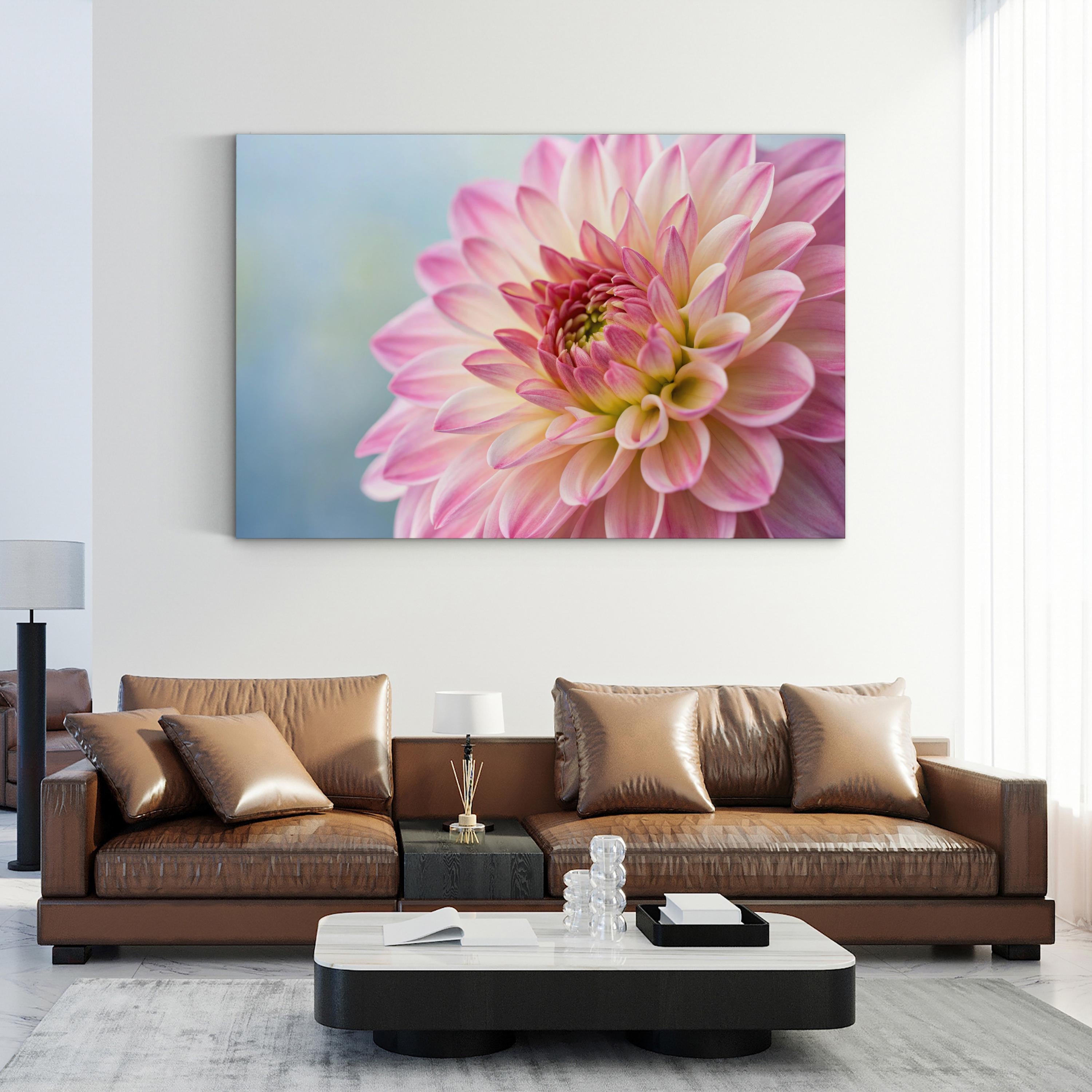 Pink Dahlia Canvas – Floral Photography Wall Art