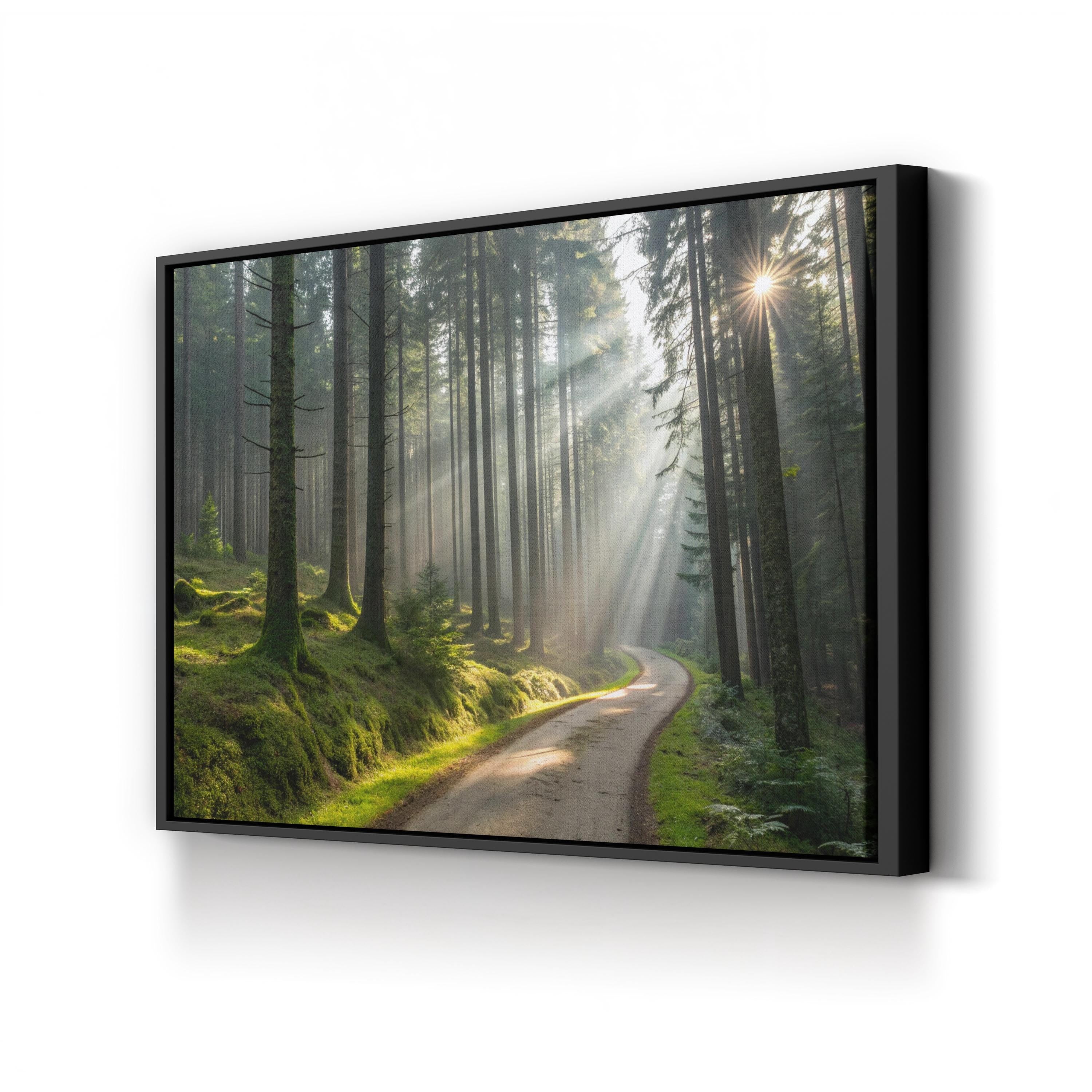 Forest Sunlight Path – Vintage Photography Wall Art | Woodland Landscape Canvas Print