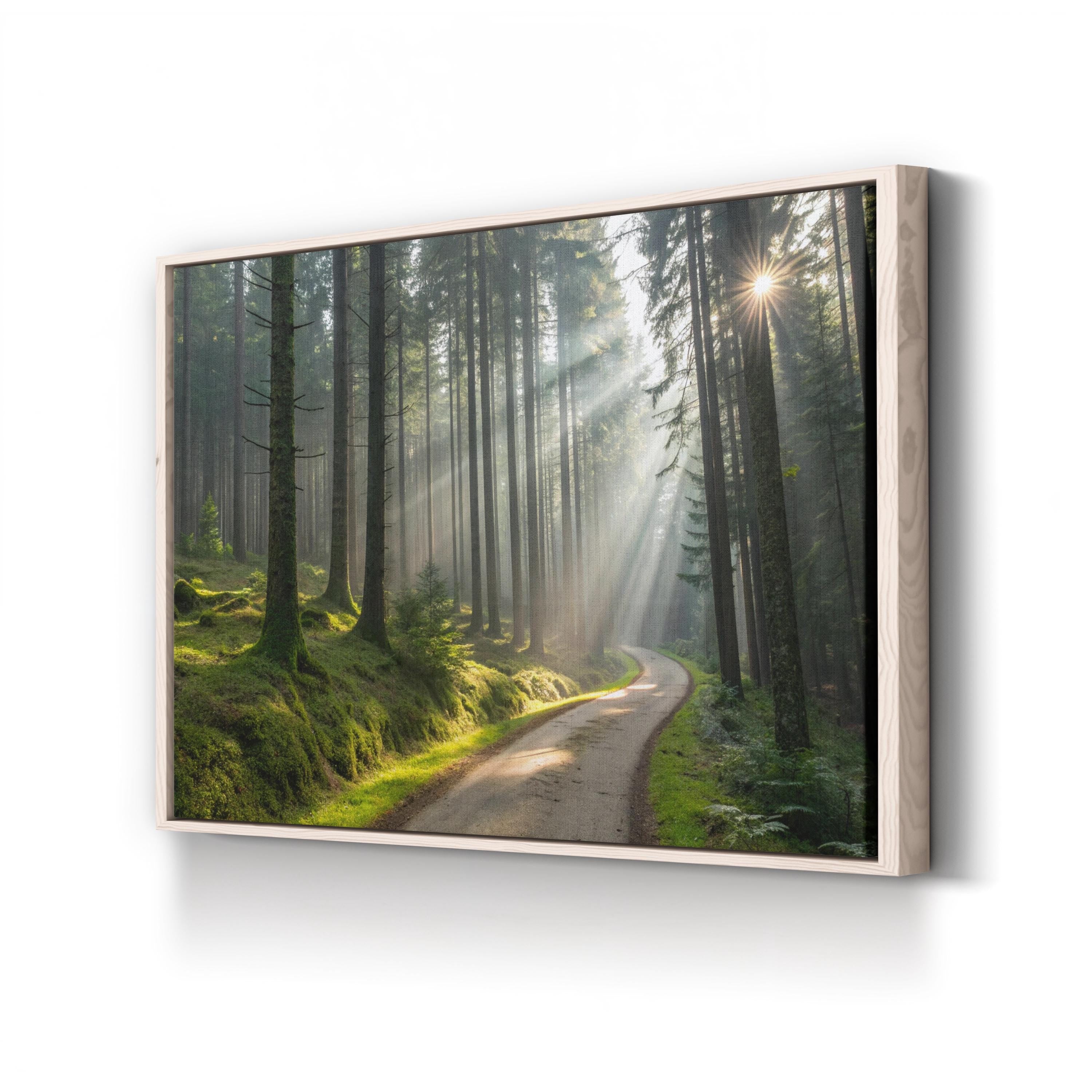 Forest Sunlight Path – Vintage Photography Wall Art | Woodland Landscape Canvas Print