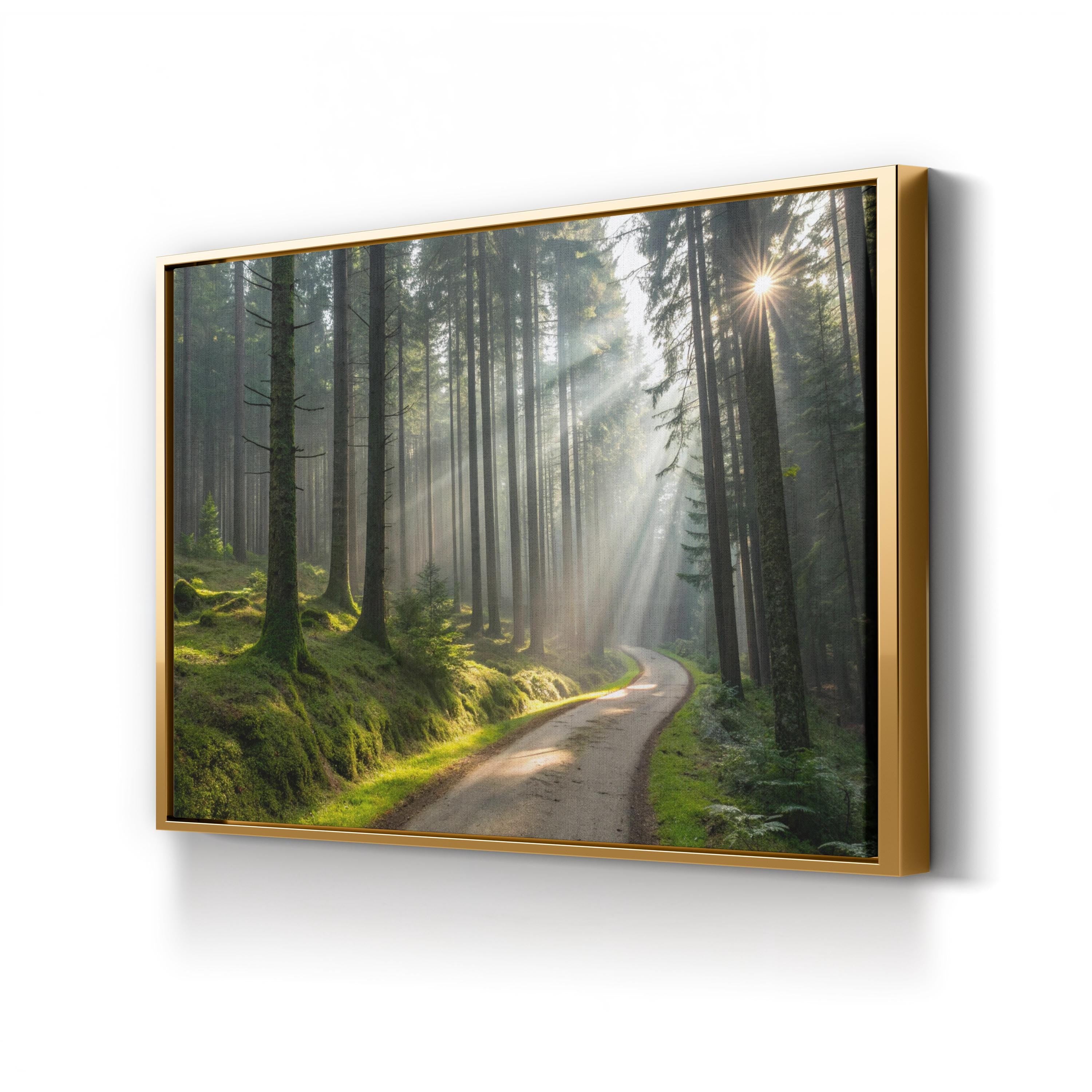 Forest Sunlight Path – Vintage Photography Wall Art | Woodland Landscape Canvas Print